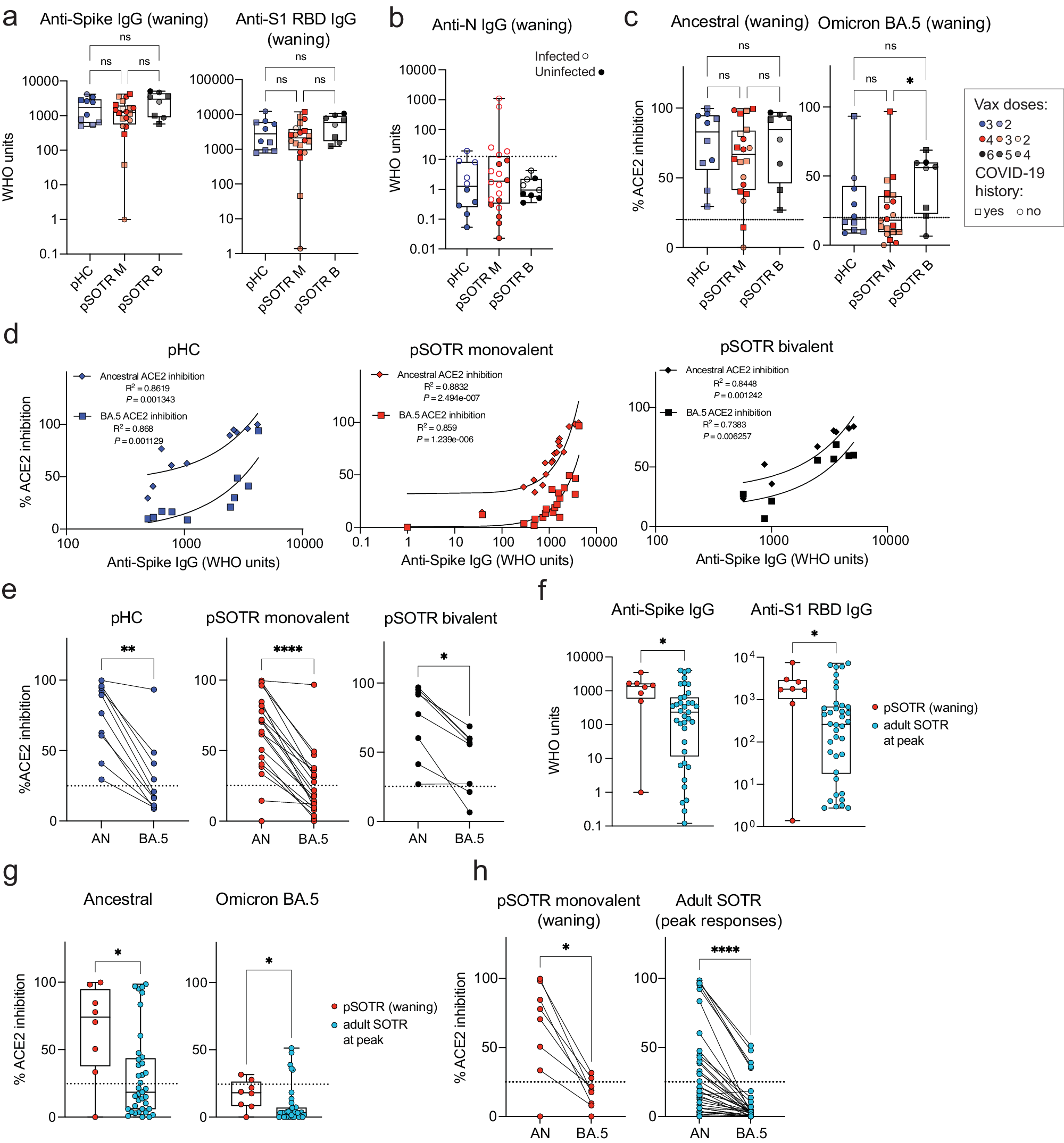 Fig. 1: Pediatric solid organ transplant recipients with an extra dose of ancestral monovalent vaccine do not exhibit significantly different humoral responses from their healthy siblings.