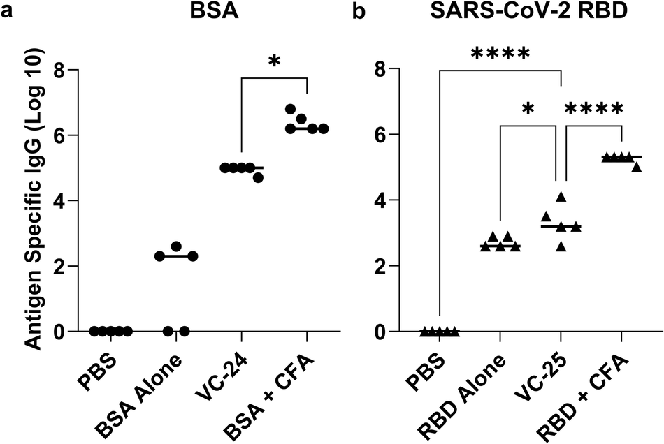 Fig. 9: BSA- and SARS-CoV-2 RBD-specific total IgG titres induced by subcutaneous immunisation.