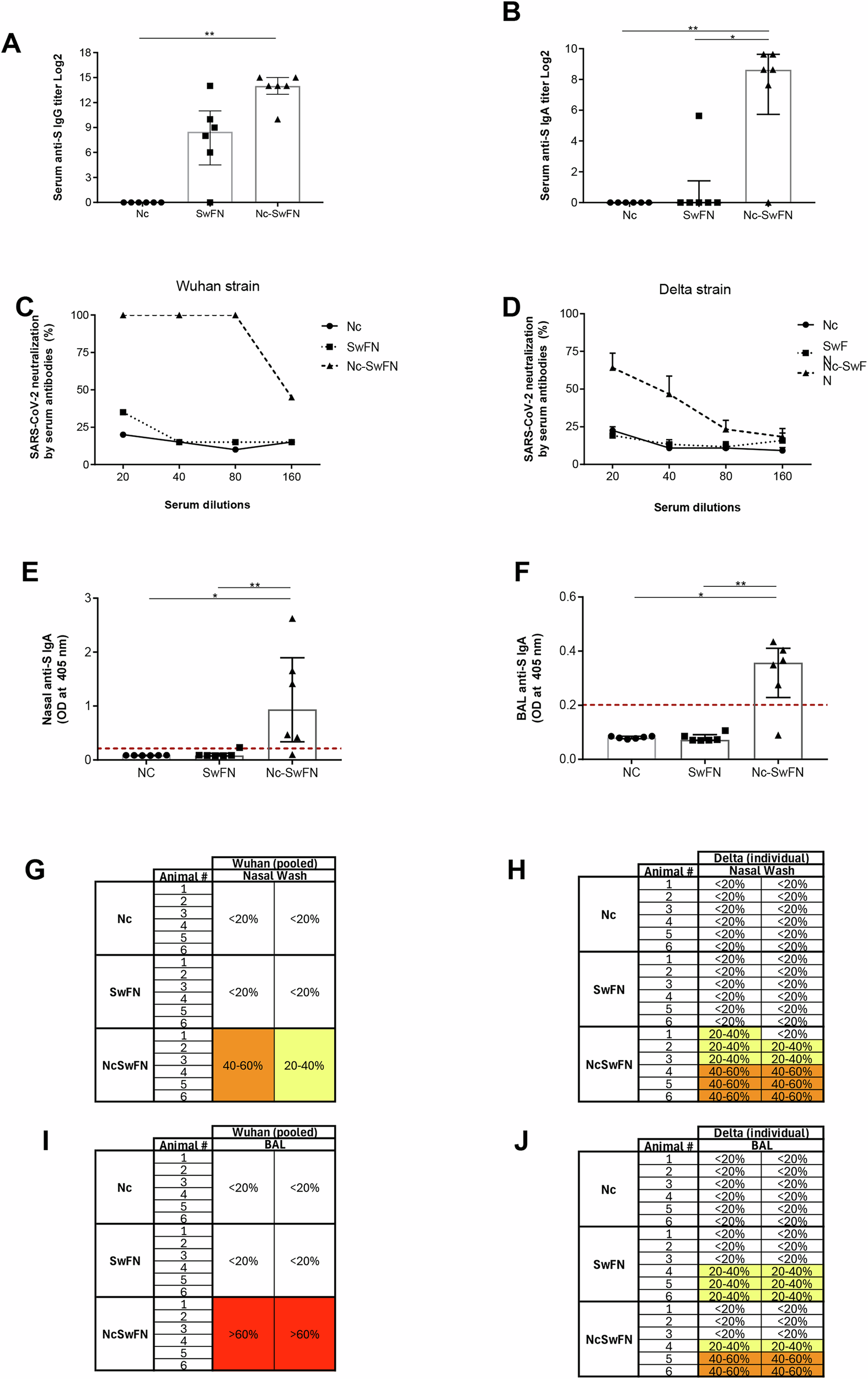 Fig. 2: Humoral immune response against spike protein after SwFN and Nc-SwFN immunizations.