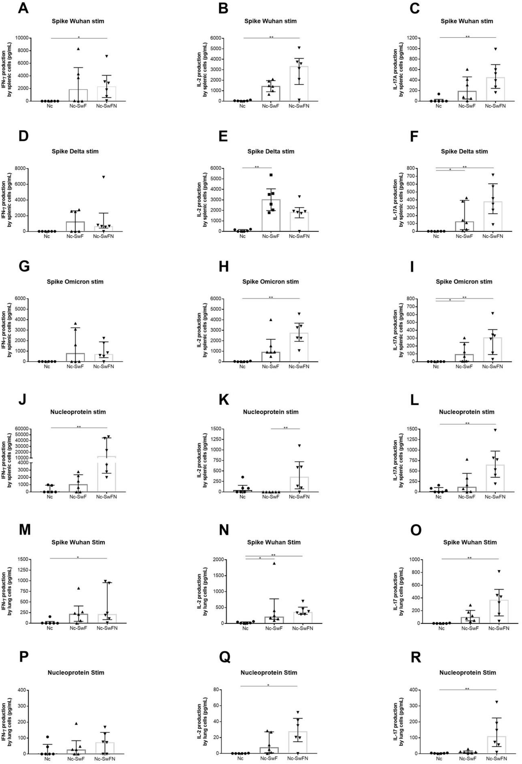 Fig. 4: Systemic cellular immune response against nucleoprotein and spike SARS-CoV-2 variants after Nc-SwF and Nc-SwFN immunizations.