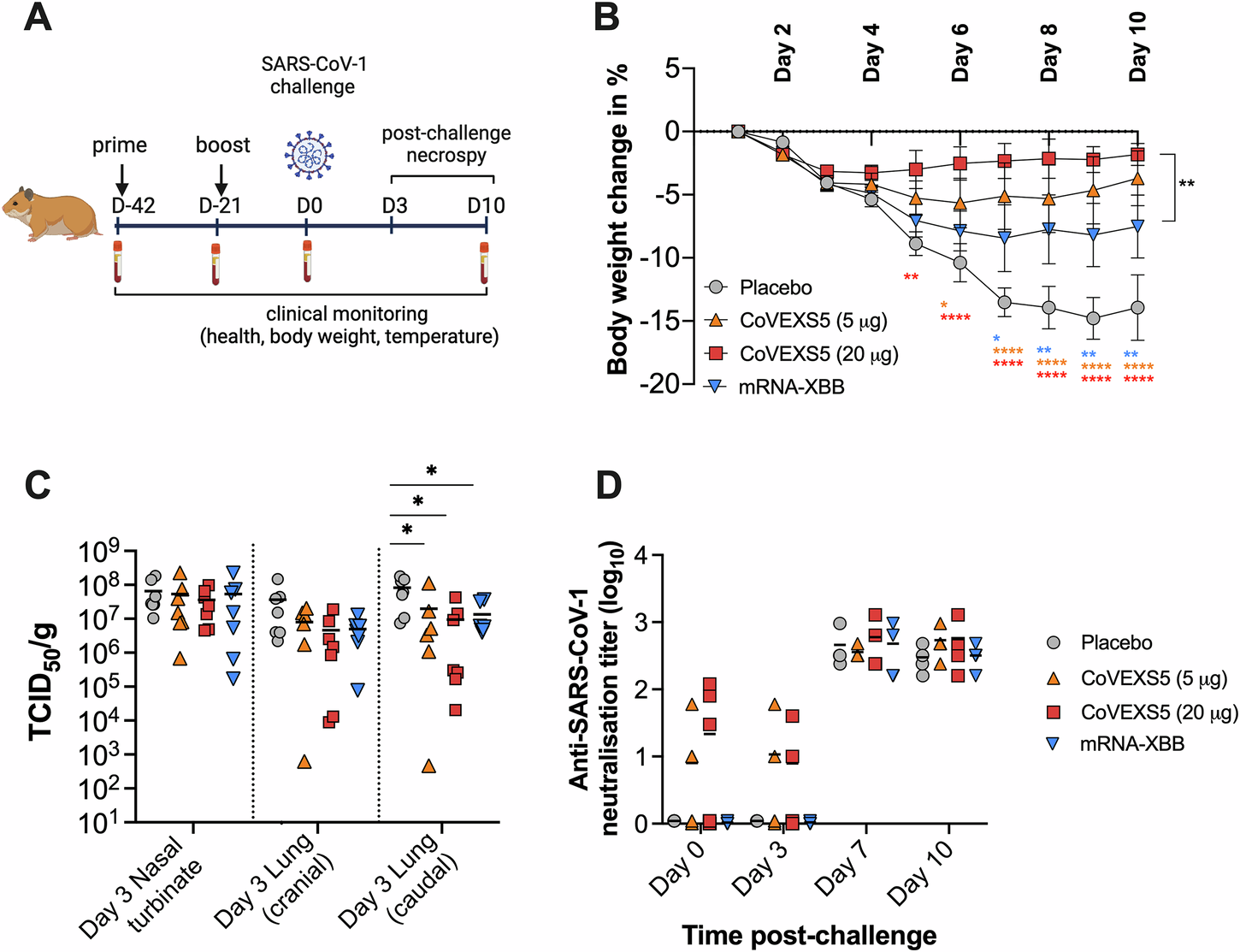 Fig. 6: CoVEXS5 protects against SARS-CoV-1 infection.