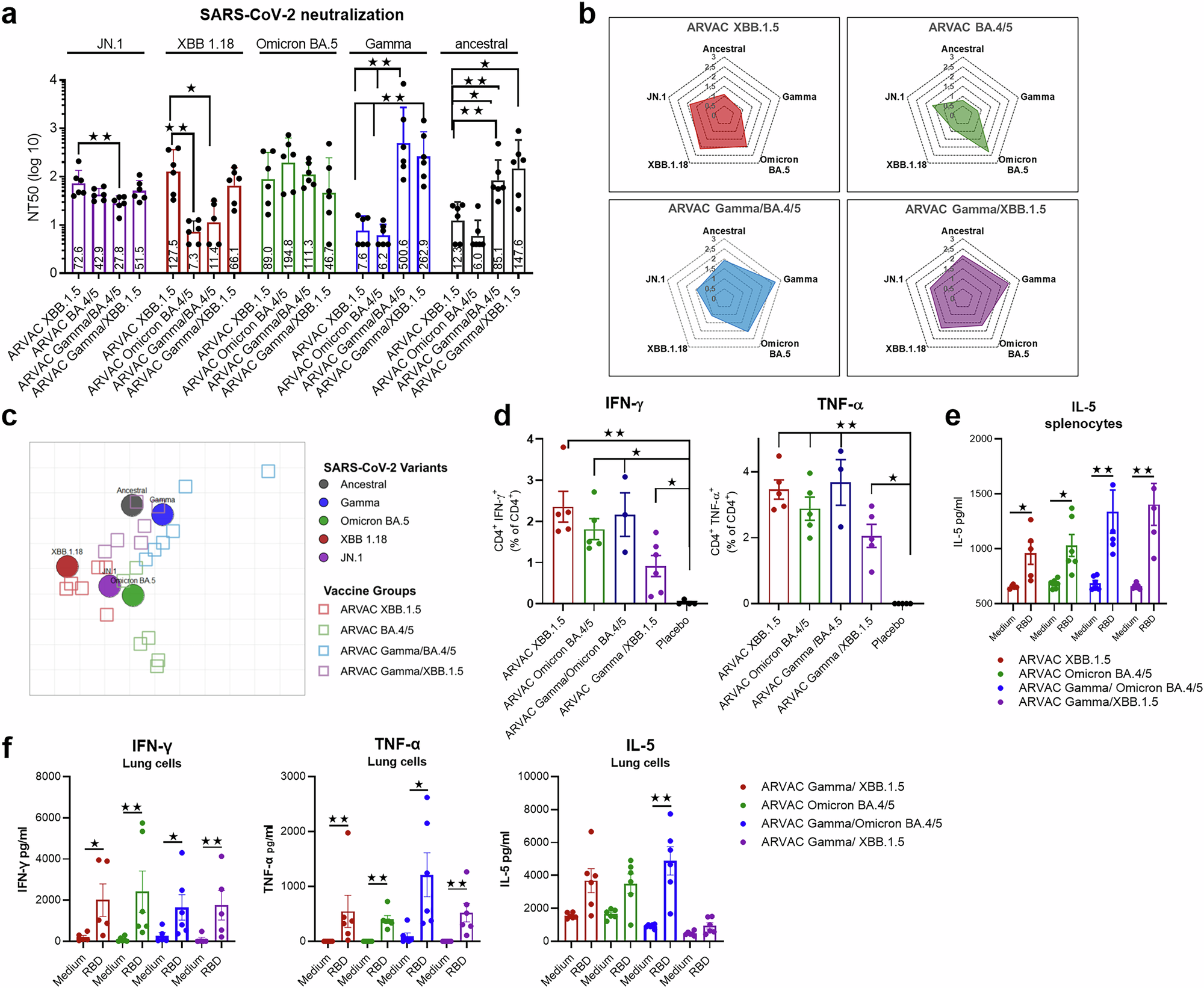 Fig. 1: Prime immunization with monovalent and bivalent adapted XBB.1.5 vaccines induce nAbs and Ag-specific T cell immune responses.