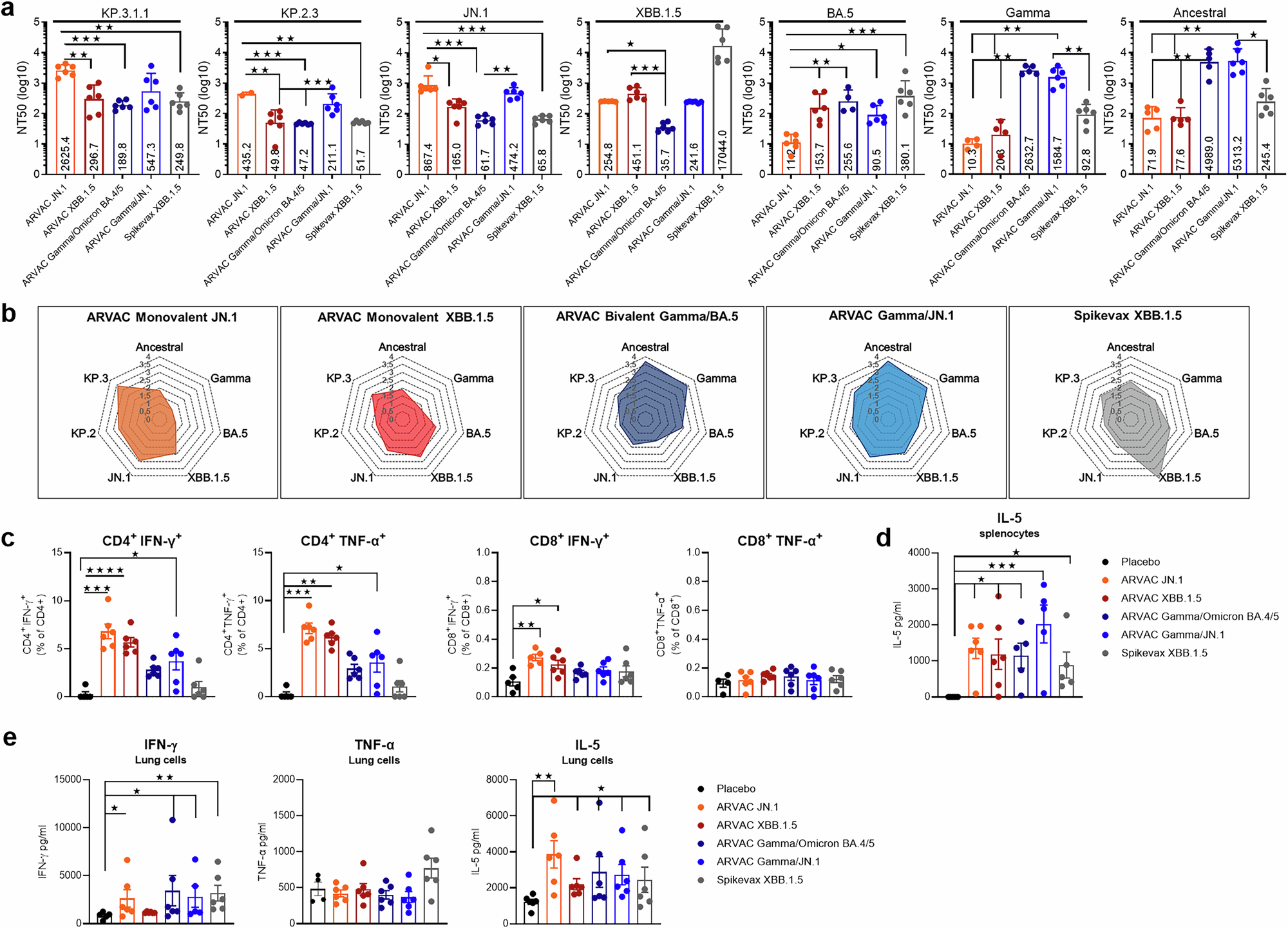 Fig. 4: Monovalent and bivalent adapted JN.1 vaccines induce nAbs against JN.1, KP.2 and KP.3 lineages and specific T cell responses in the spleen and lung.