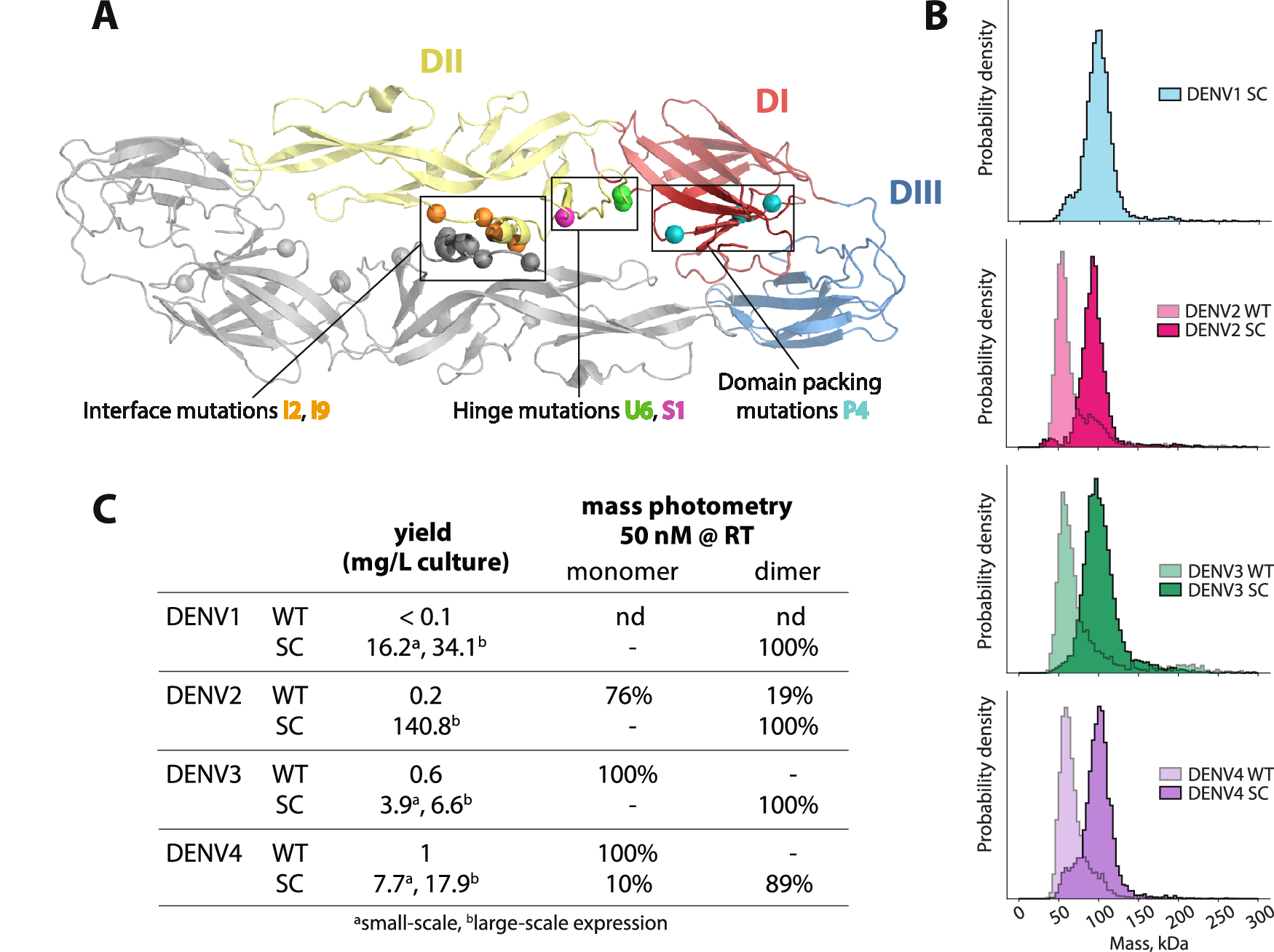 Fig. 1: Biochemical characteristics of DENV soluble E with stabilizing mutations (sE SC).