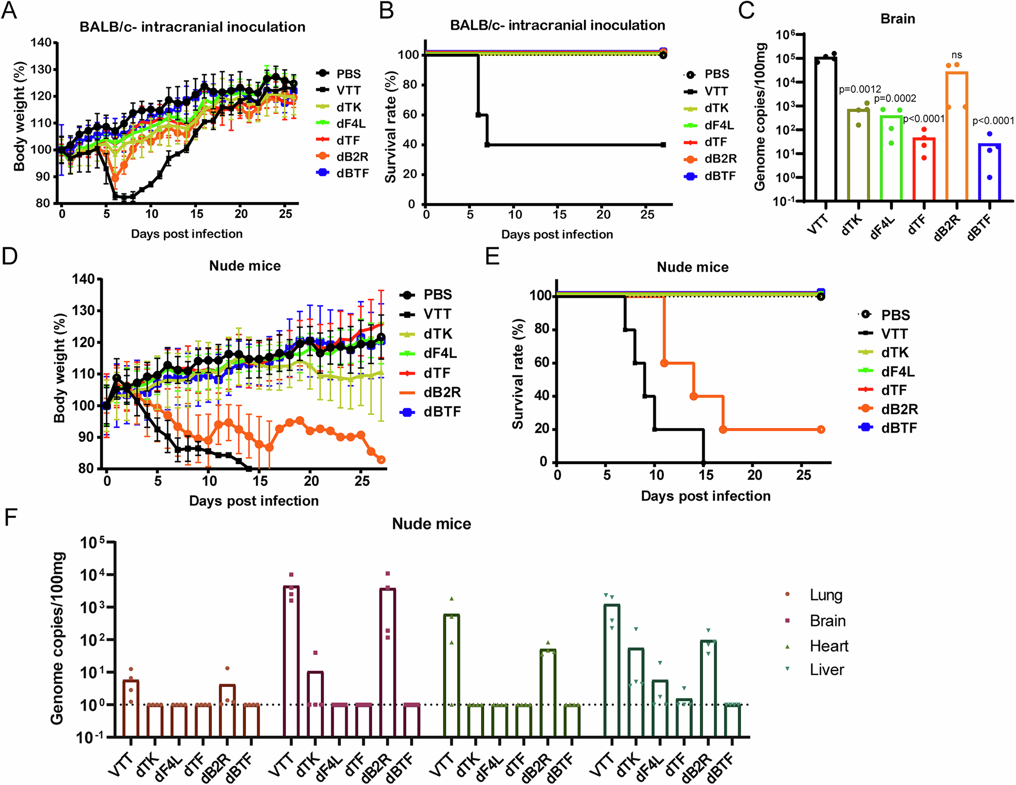 Fig. 3: Reduced neurovirulence of the attenuated virus dBTF.