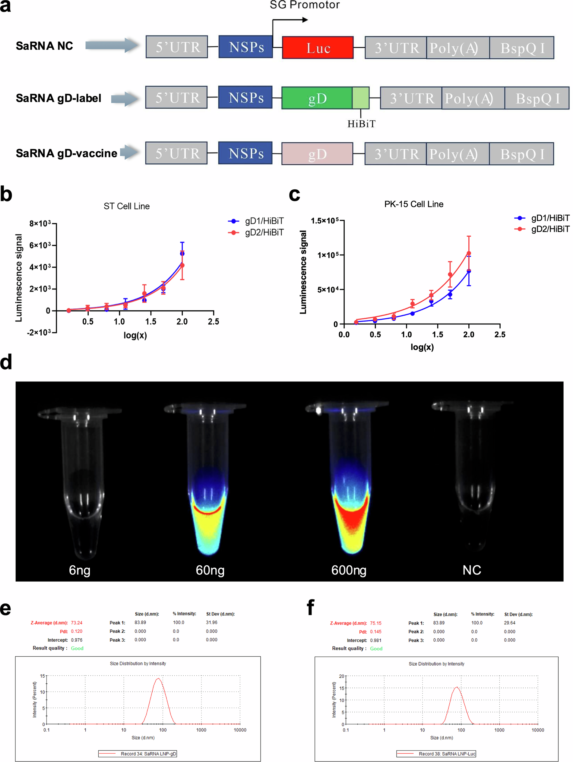 Fig. 1: Production and characteristics of PRV gD-based saRNA vaccines.