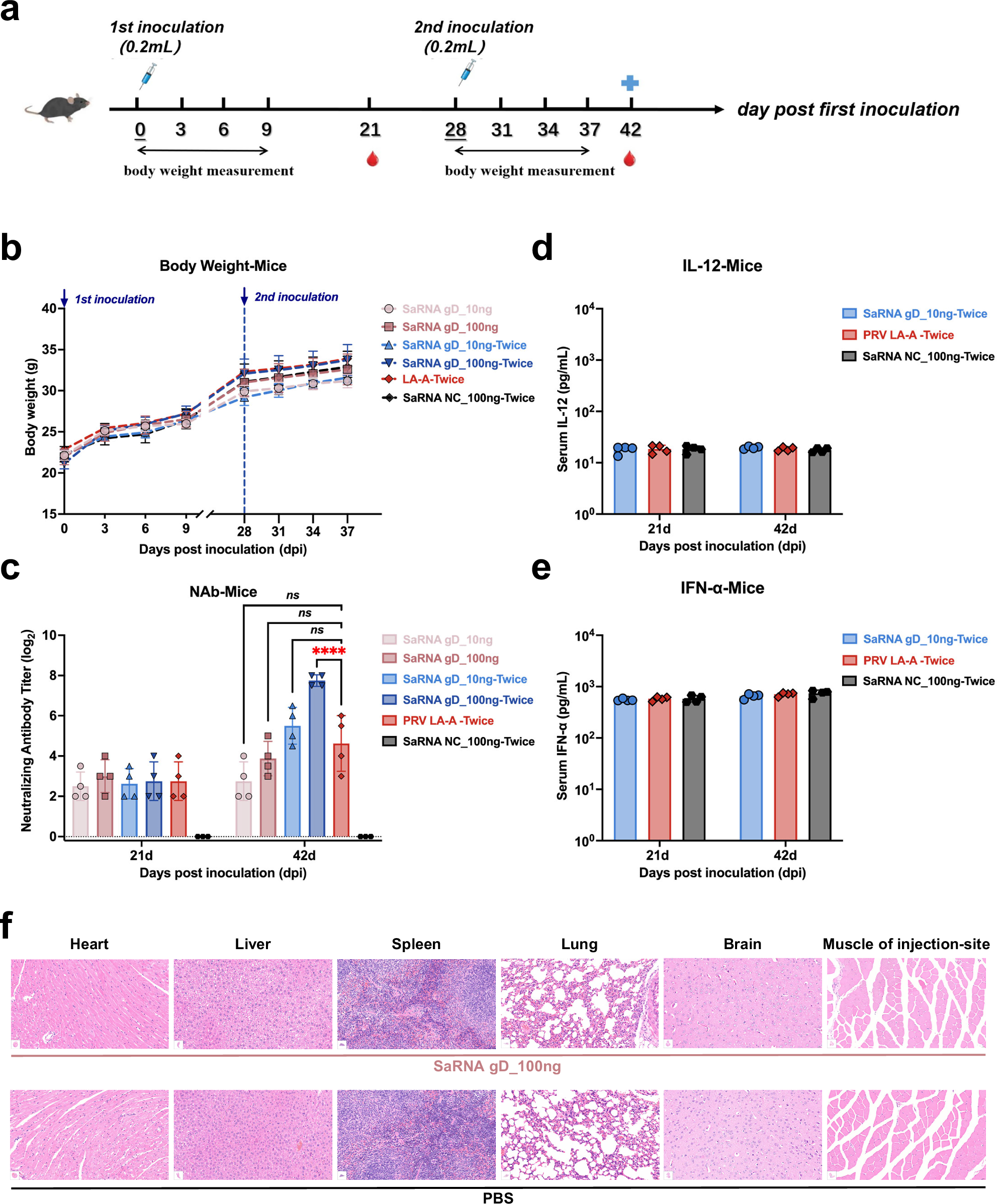 Fig. 2: Immunogenicity of gD mRNA vaccines in mice.