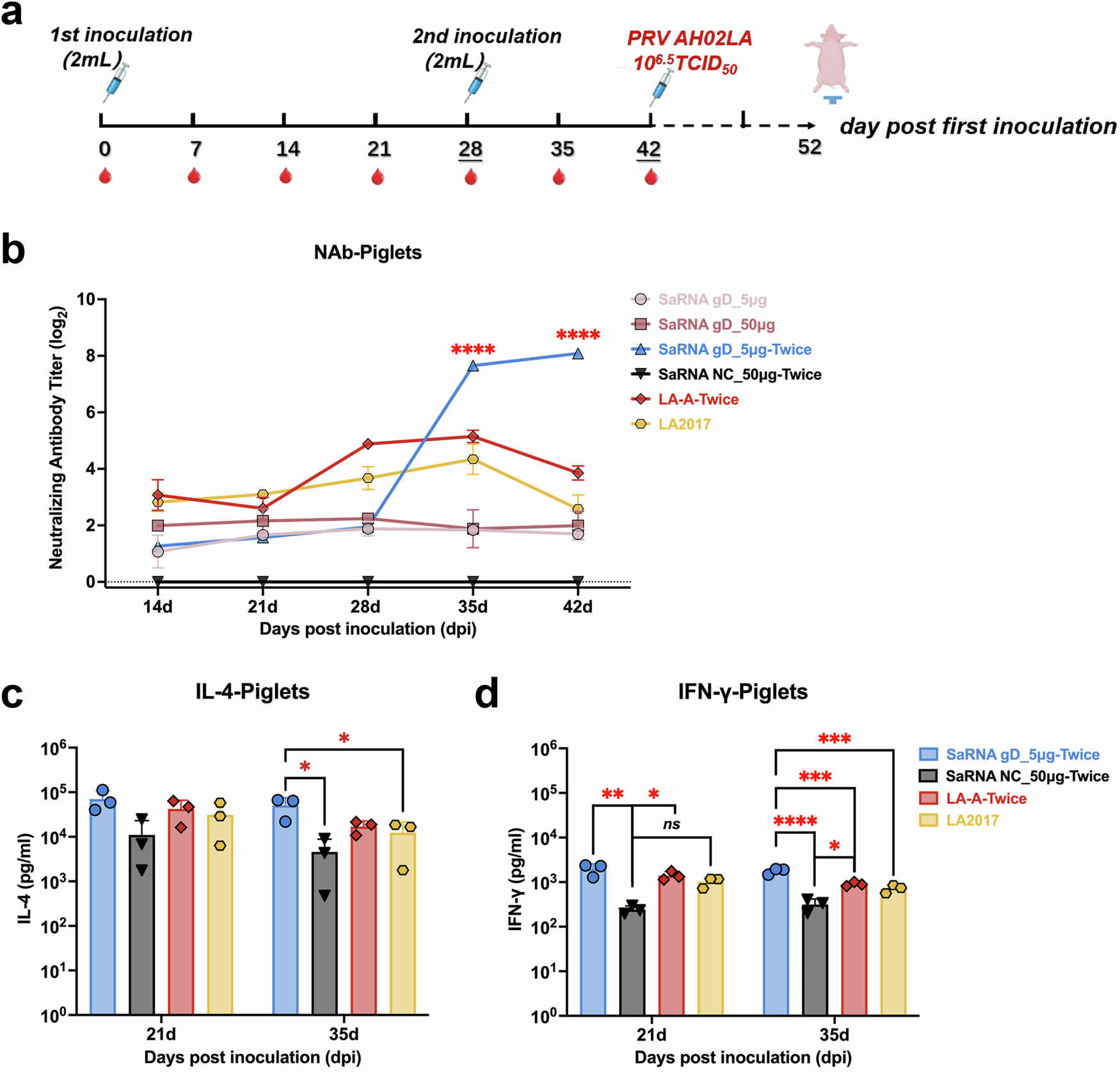 Fig. 3: Immune responses induced by the saRNA-gD vaccine in piglets.