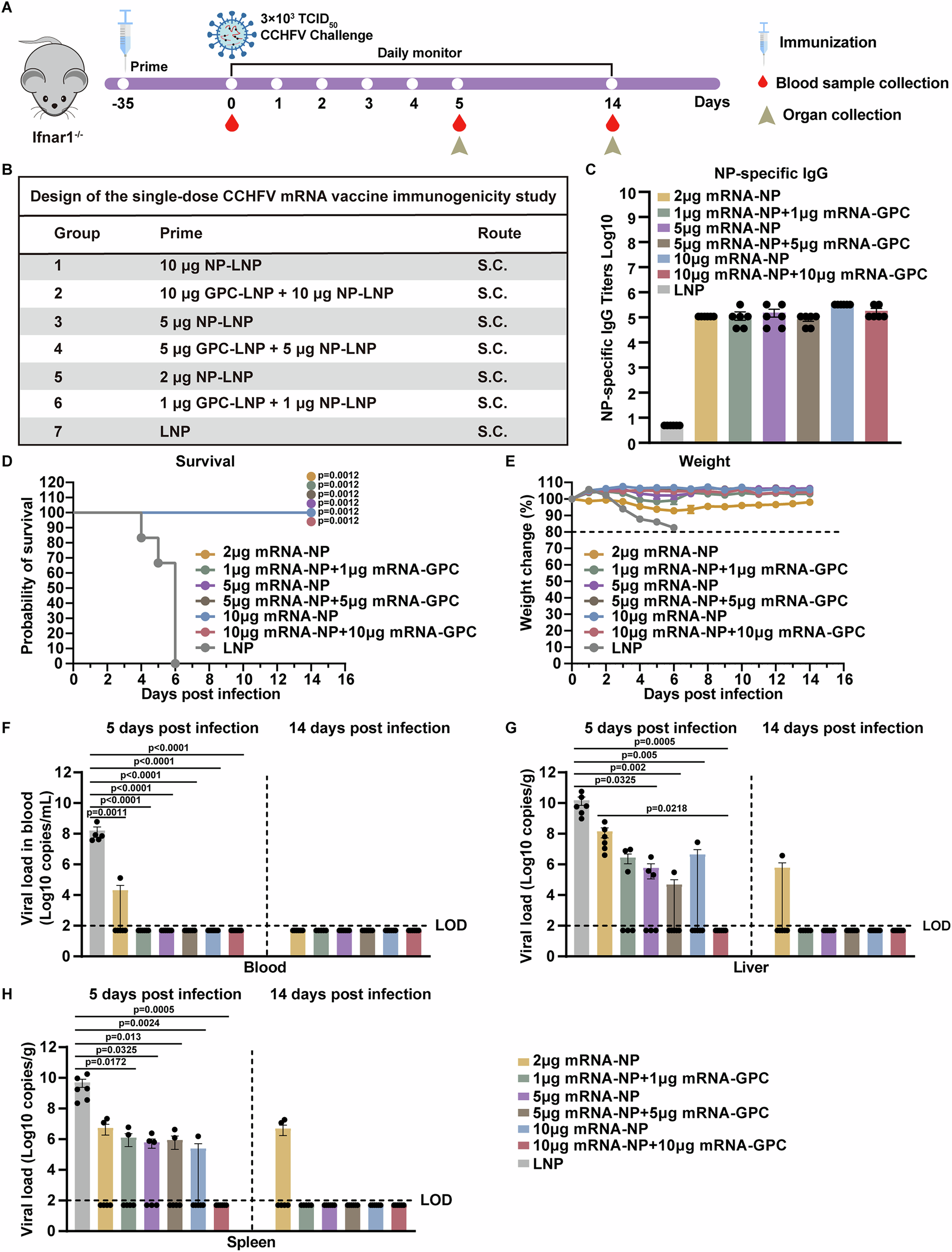 Fig. 4: Single-dose vaccination protects Ifnar1−/− mice against CCHFV infection.