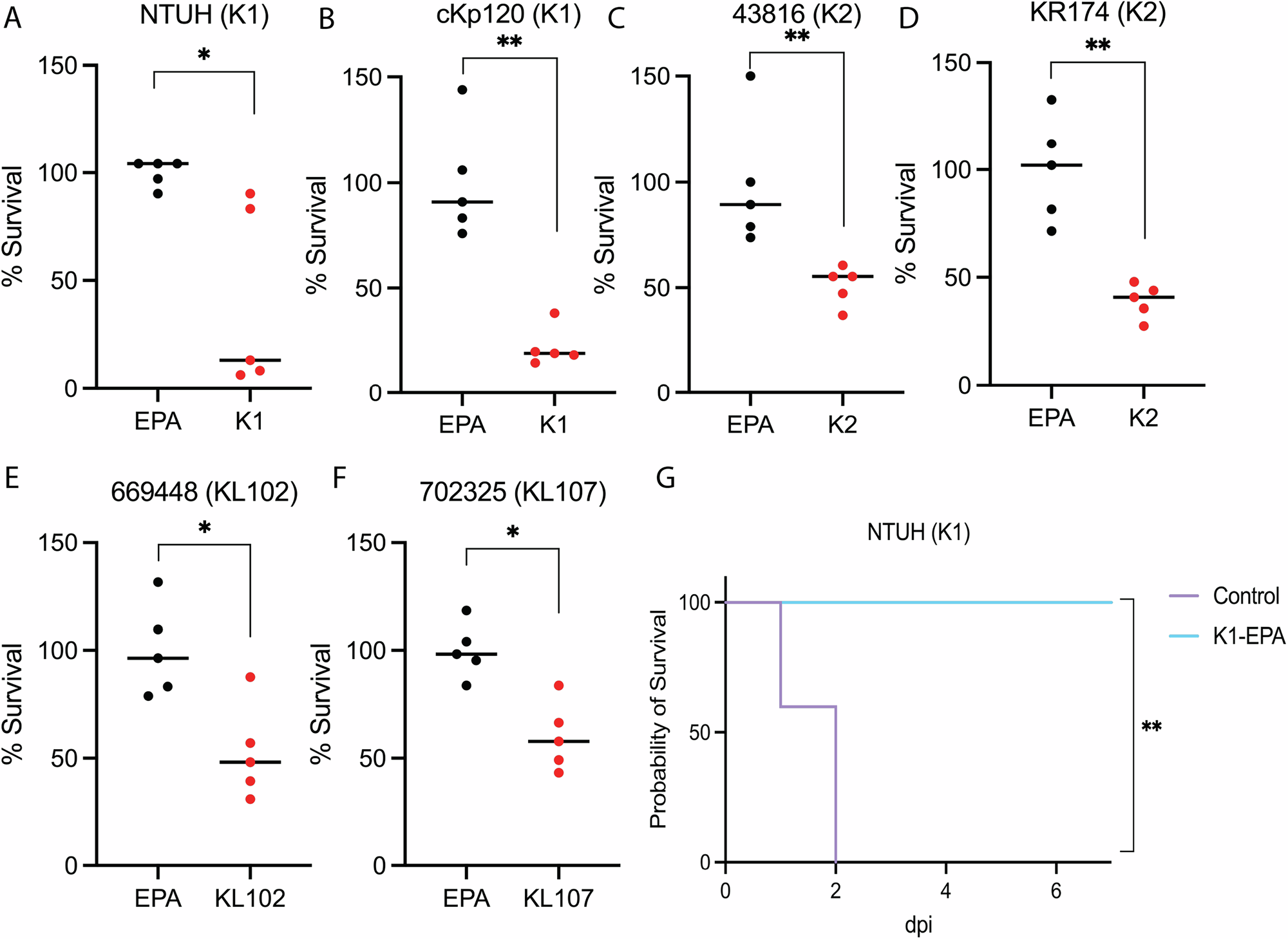 Fig. 7: Antibody longevity of each bioconjugate vaccine in K4V.