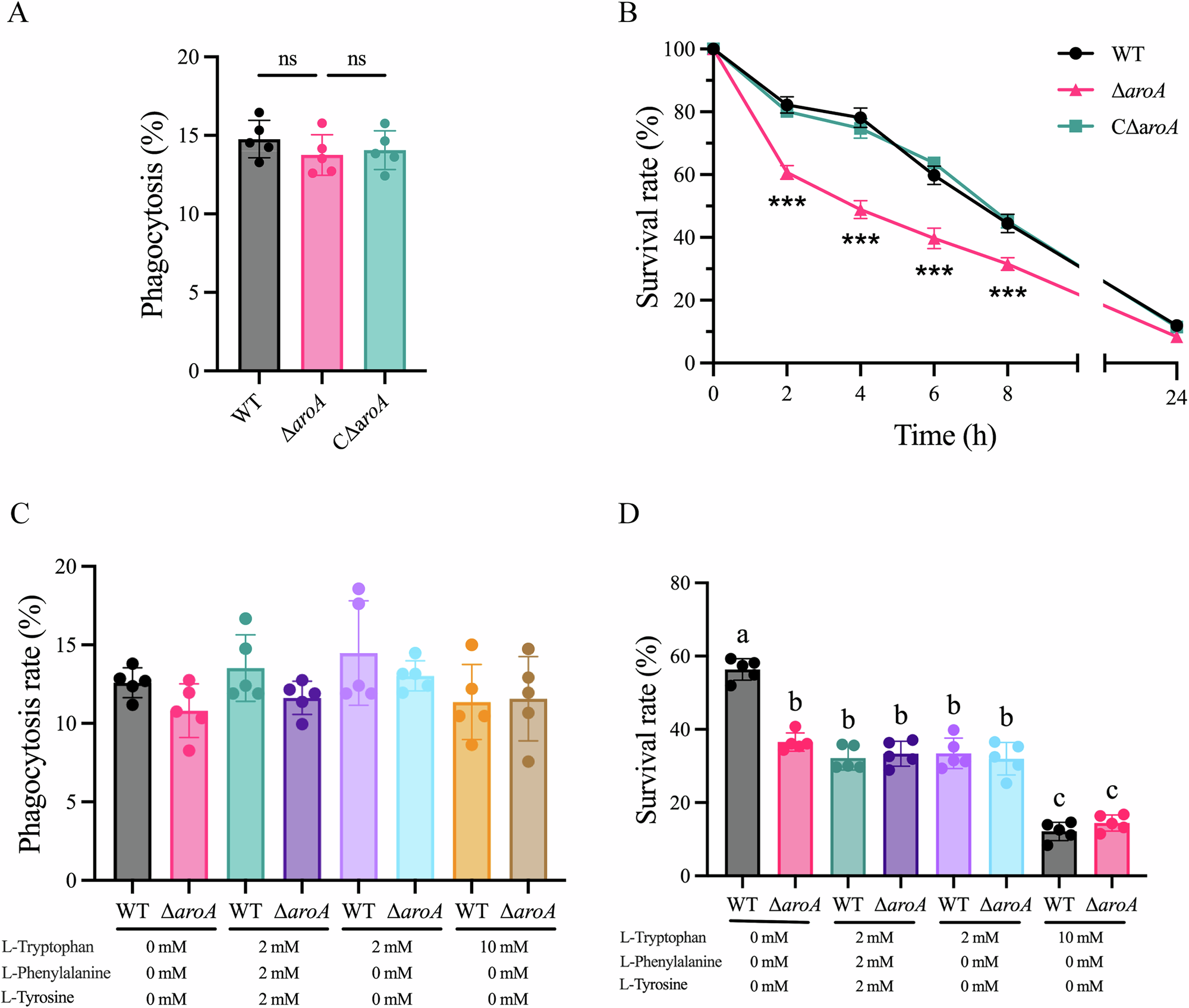 Fig. 2: Impact of aroA deletion on intracellular survival of S. agalactiae in macrophages.