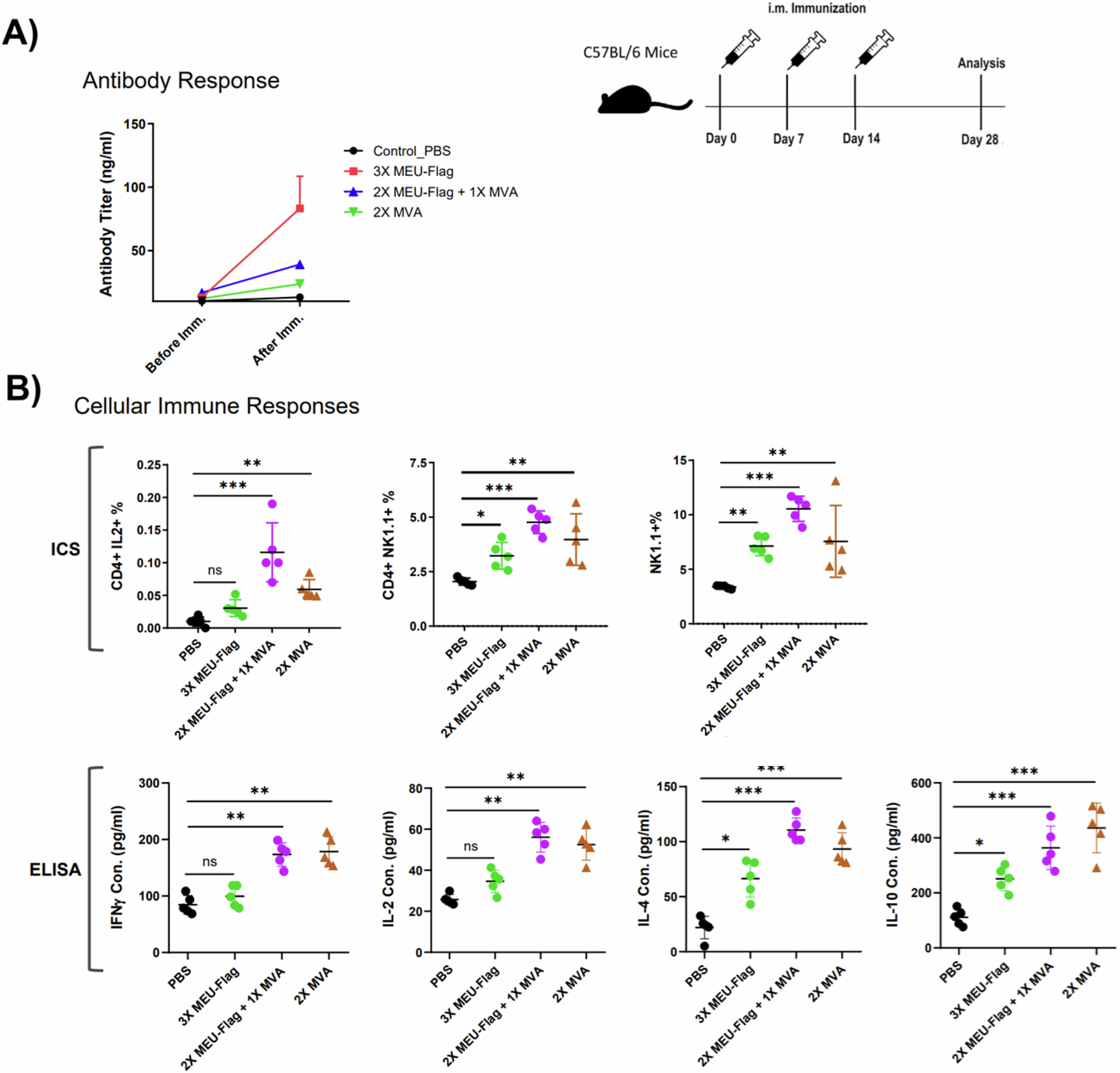 Fig. 4: Evaluation of humoral and cellular immune responses in vaccinated mice.