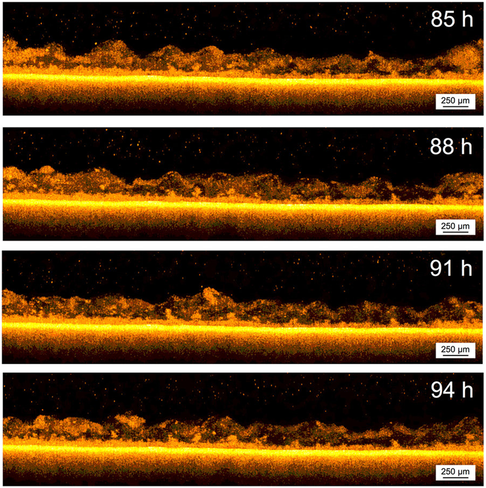 Chlorination disadvantages and alternative routes for biofouling control in  reverse osmosis desalination