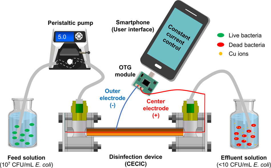 Smartphone-powered efficient water disinfection at the point of use | npj  Clean Water