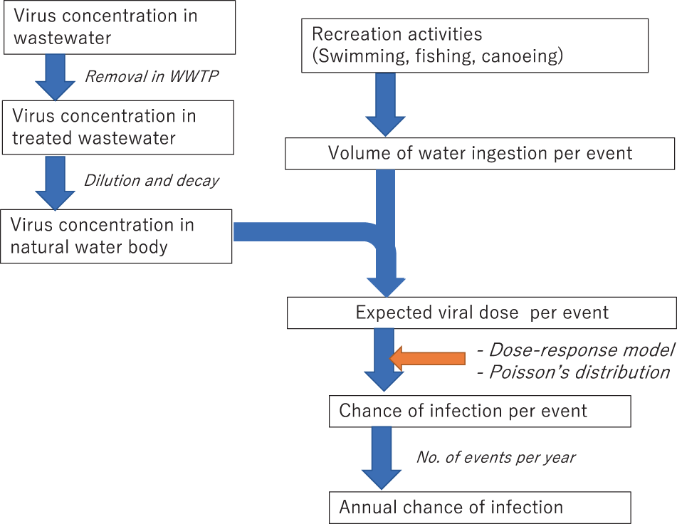 Potential discharge, attenuation and exposure risk of SARS-CoV-2 in natural  water bodies receiving treated wastewater | npj Clean Water