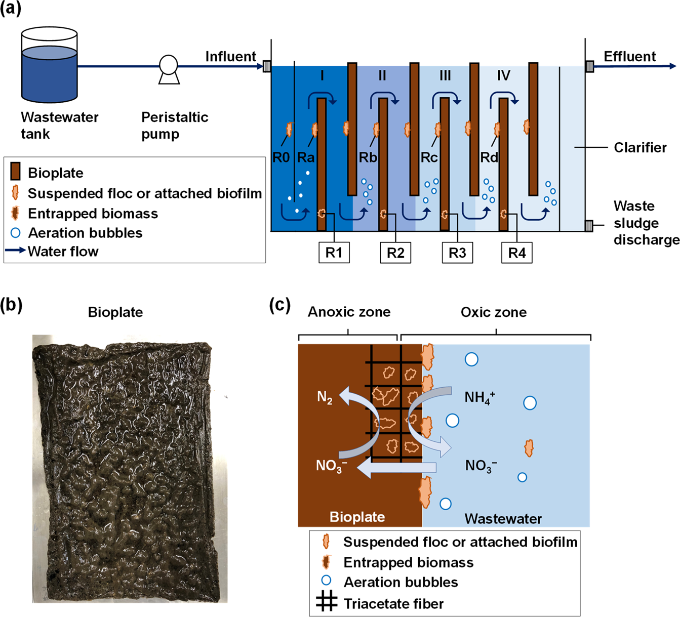 A Study of Salvaged Cyanobacteria Slurry Treatment Using Liquefied Dimethyl  Ether: Dehydration and Organic Matter Extraction