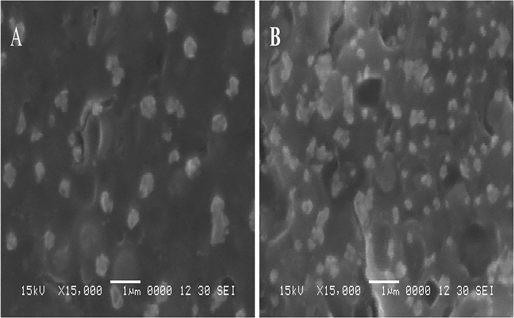 Fig. 2: Scanning micrograph at a magnification of 15,000× for.