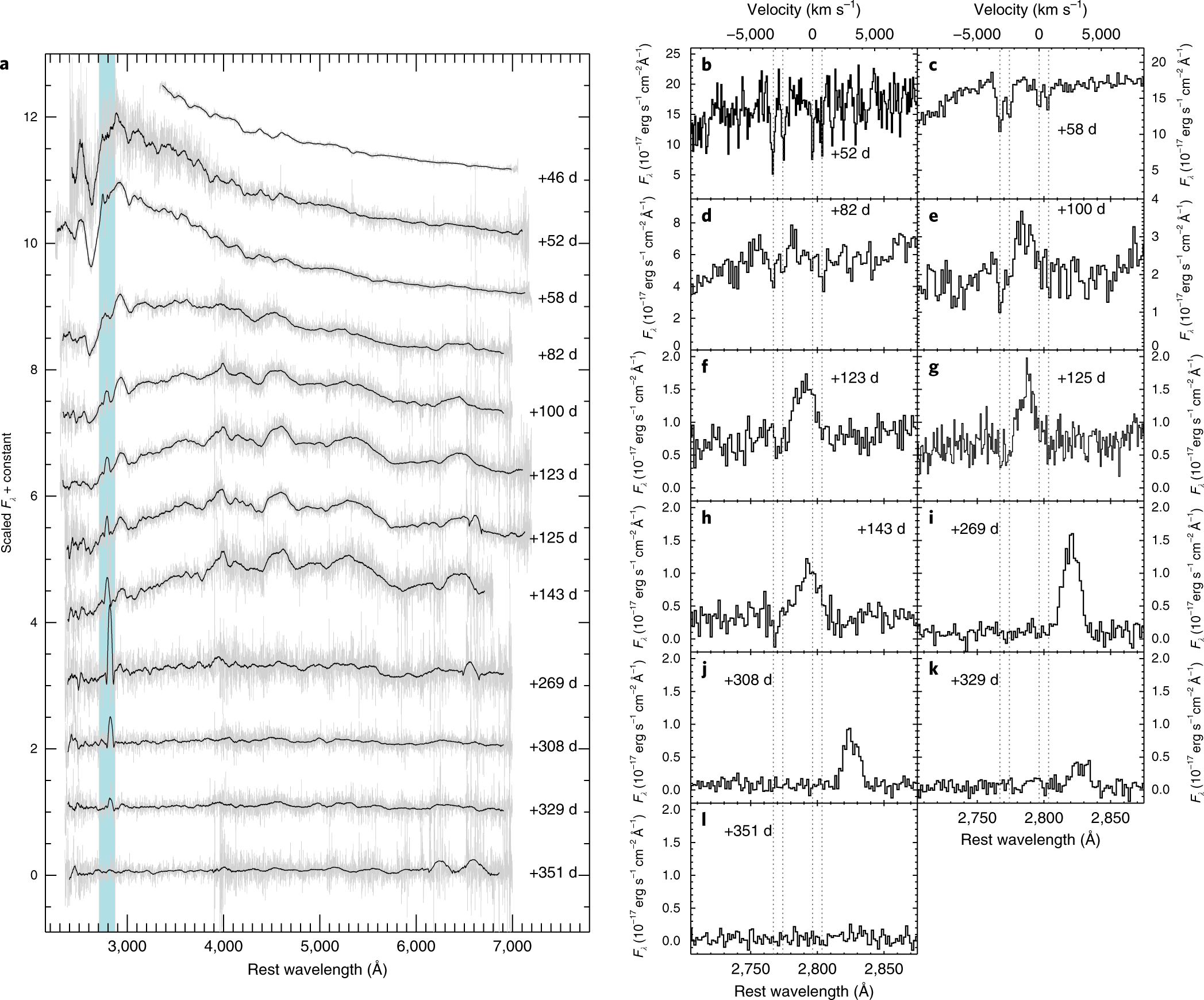 A Uv Resonance Line Echo From A Shell Around A Hydrogen Poor Superluminous Supernova Nature Astronomy
