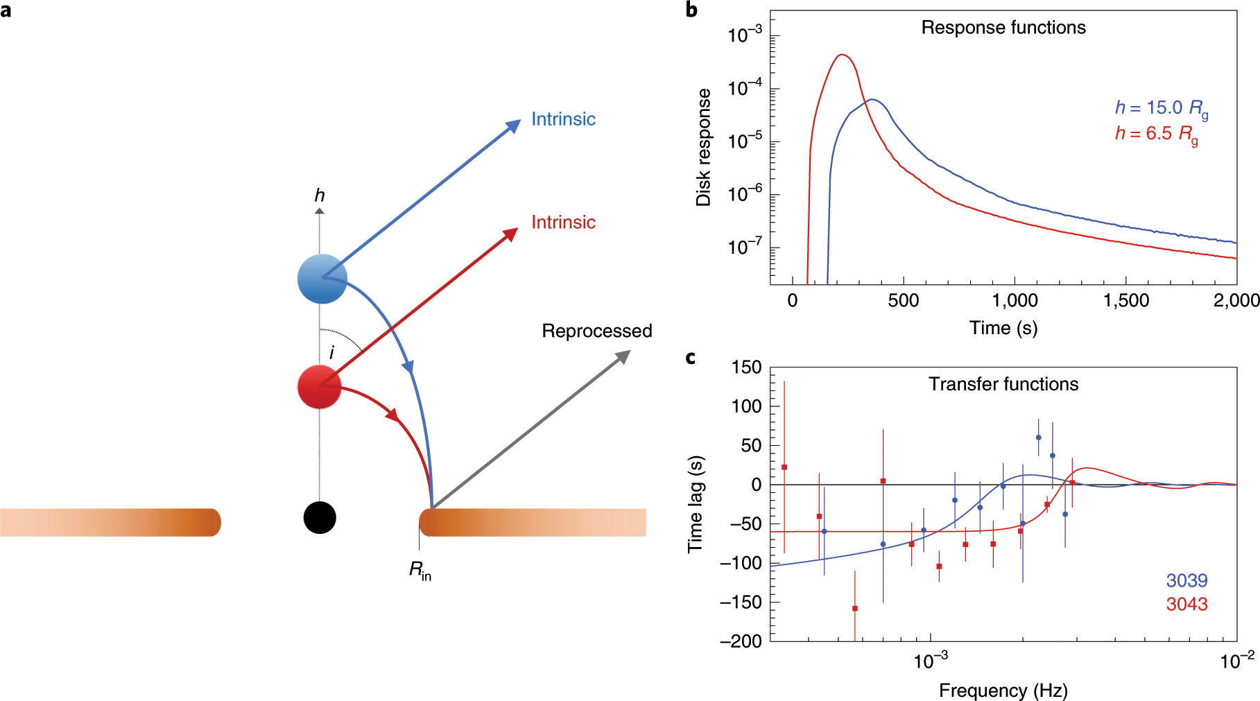 A Dynamic Black Hole Corona In An Active Galaxy Through X Ray Reverberation Mapping Nature Astronomy