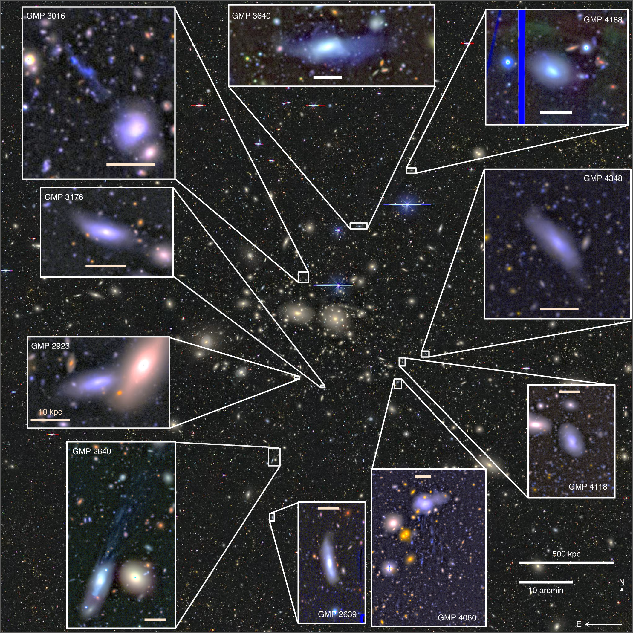 Transforming Gas Rich Low Mass Disky Galaxies Into Ultra Diffuse Galaxies By Ram Pressure Nature Astronomy