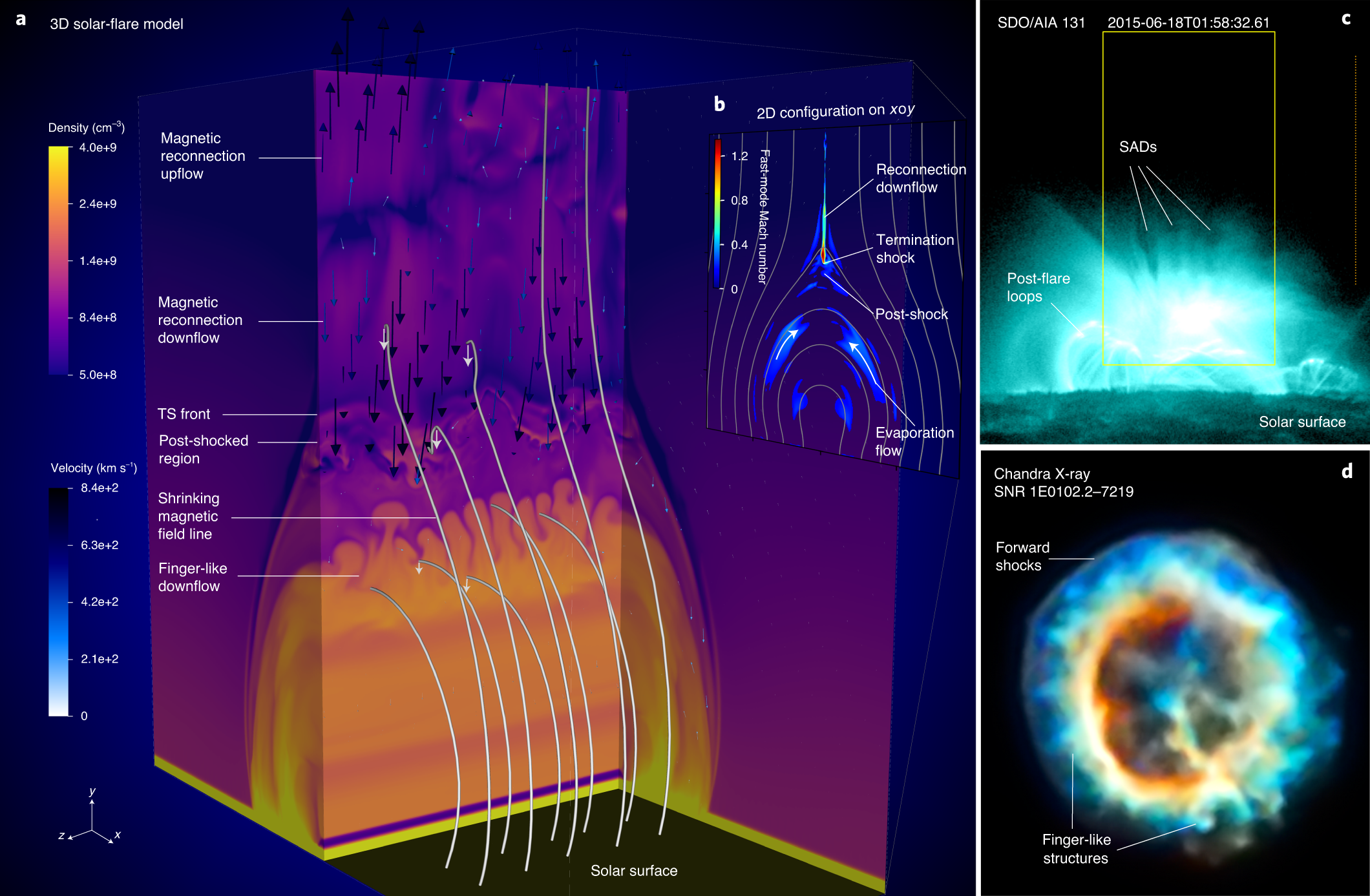 The origin of underdense plasma downflows associated with magnetic  reconnection in solar flares