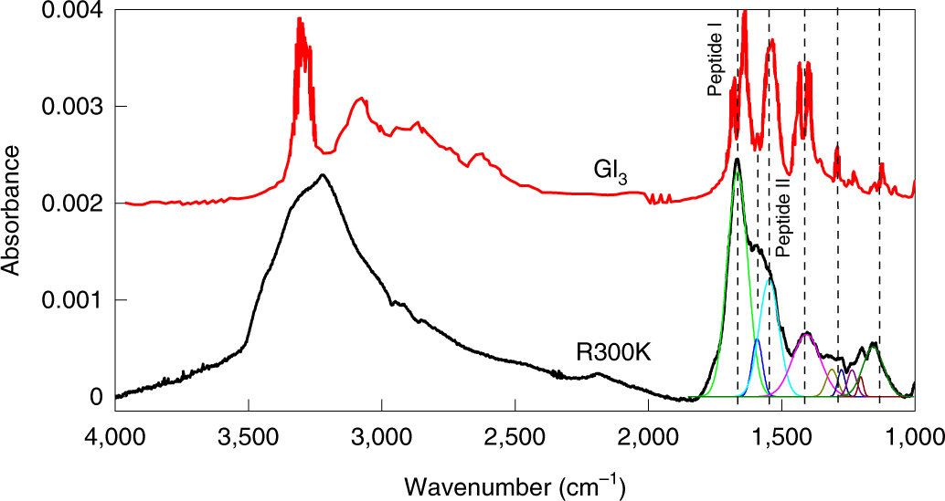 Fig. 5: Comparison between the IR absorption spectra obtained from R300K and Gl3.