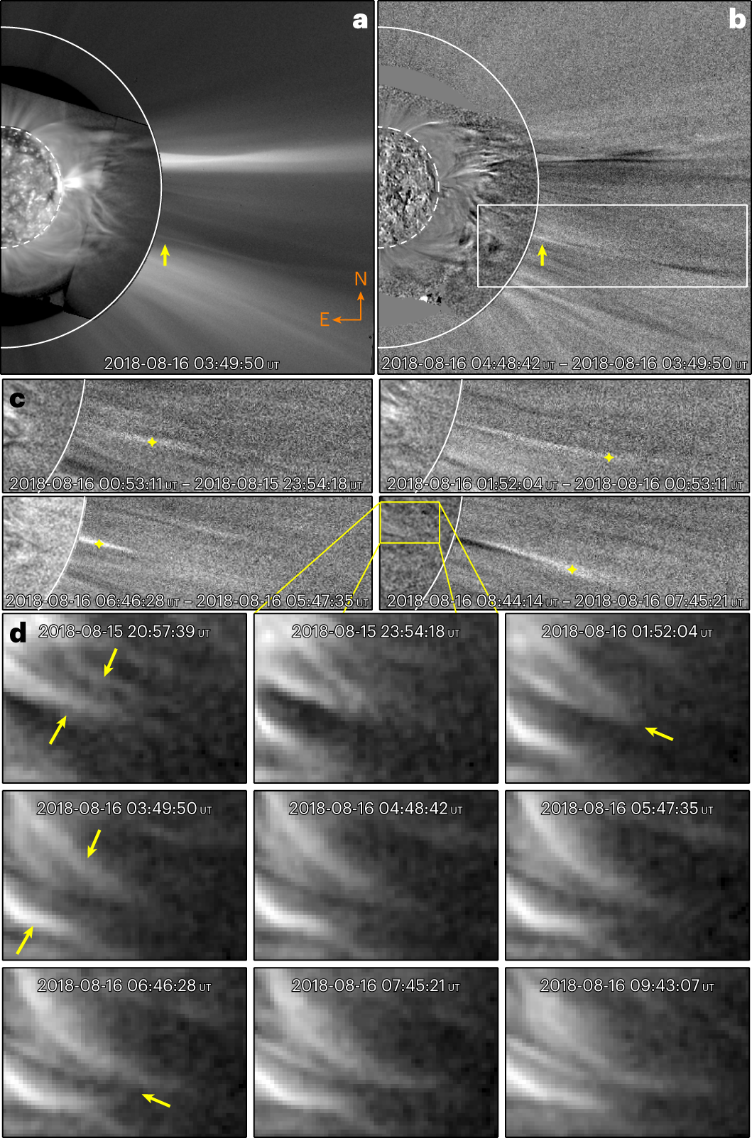 Direct observations of a complex coronal web driving highly structured slow  solar wind | Nature Astronomy