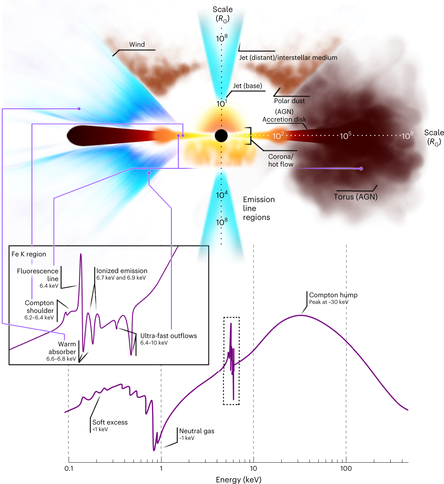 Transient axis orbit of the disk m2 during the flight of the