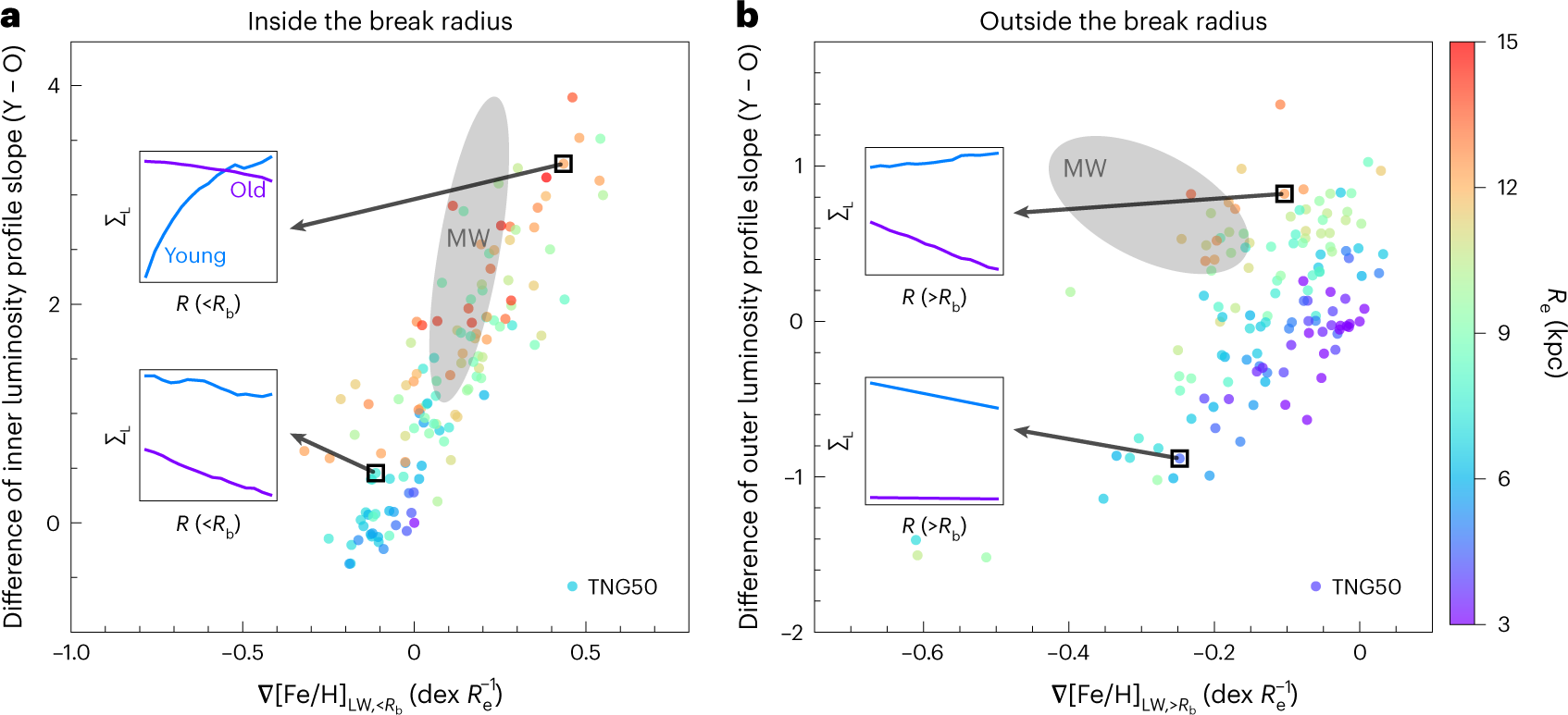 Fig. 3: Correlation between the integrated stellar metallicity gradients normalized to the galaxy effective radius and the disk structure evolution.
