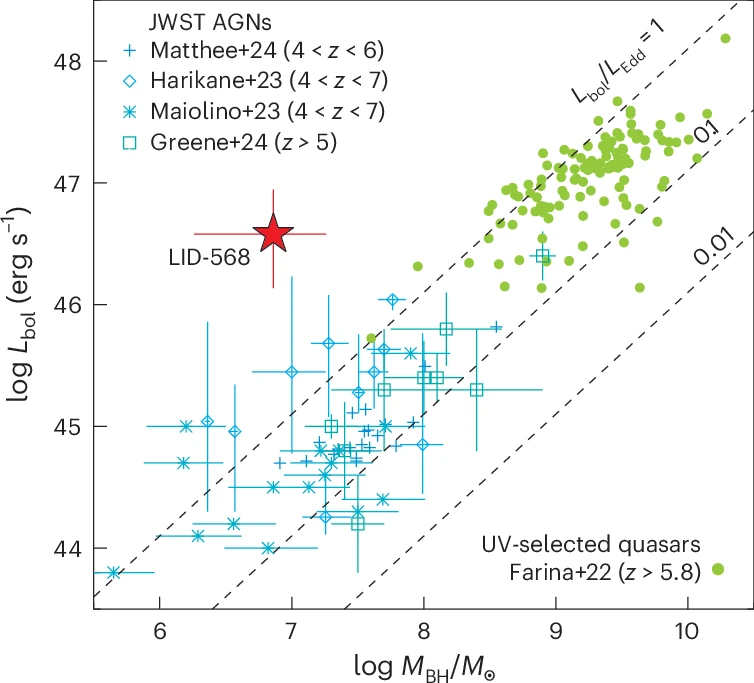 La sorgente LID-568, con accrescimento super-Eddington ( Lbol/LEdd ≈ 41.5) a redshift z≈4, è mostrata come una stella rossa nel grafico. Credits: Suh et al. 2024