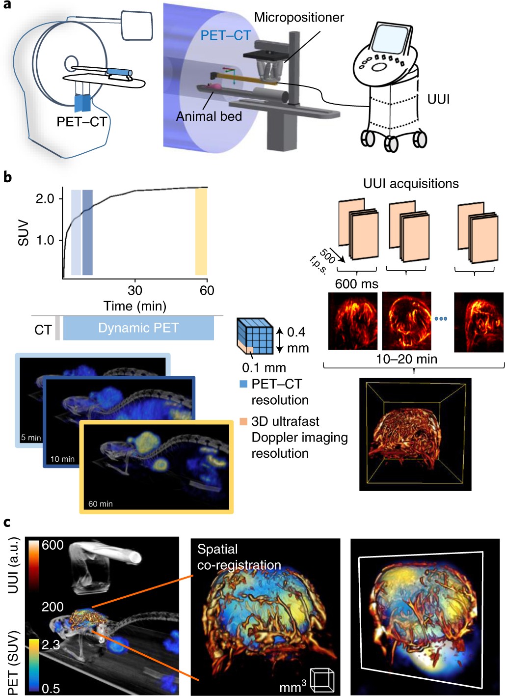 Simultaneous positron emission tomography and ultrafast ultrasound for hybrid and imaging Nature Biomedical Engineering