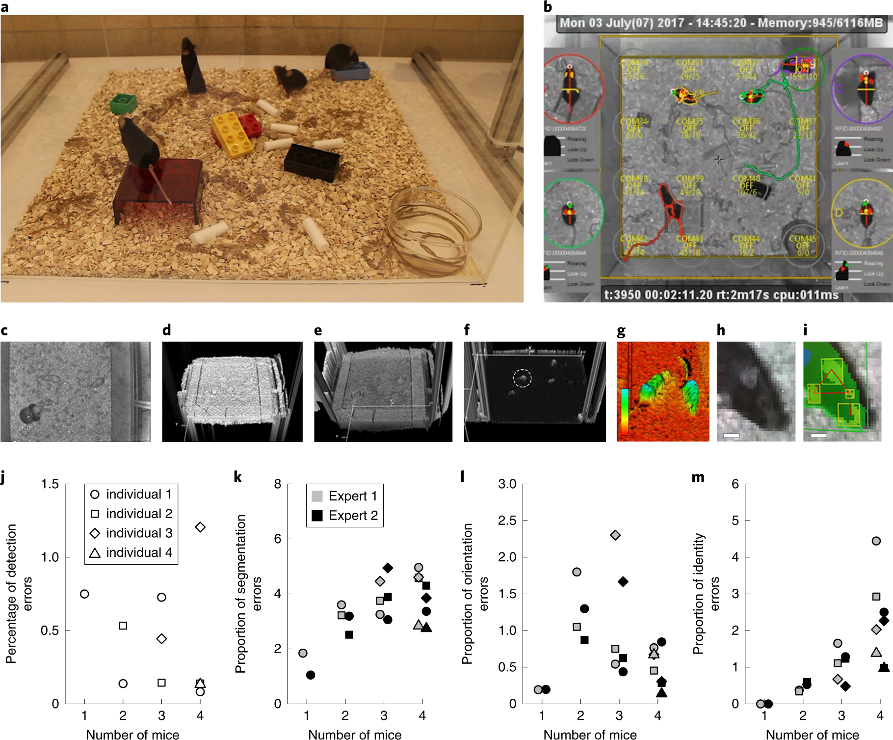 Real-time analysis of the behaviour of groups of mice via a depth-sensing  camera and machine learning | Nature Biomedical Engineering