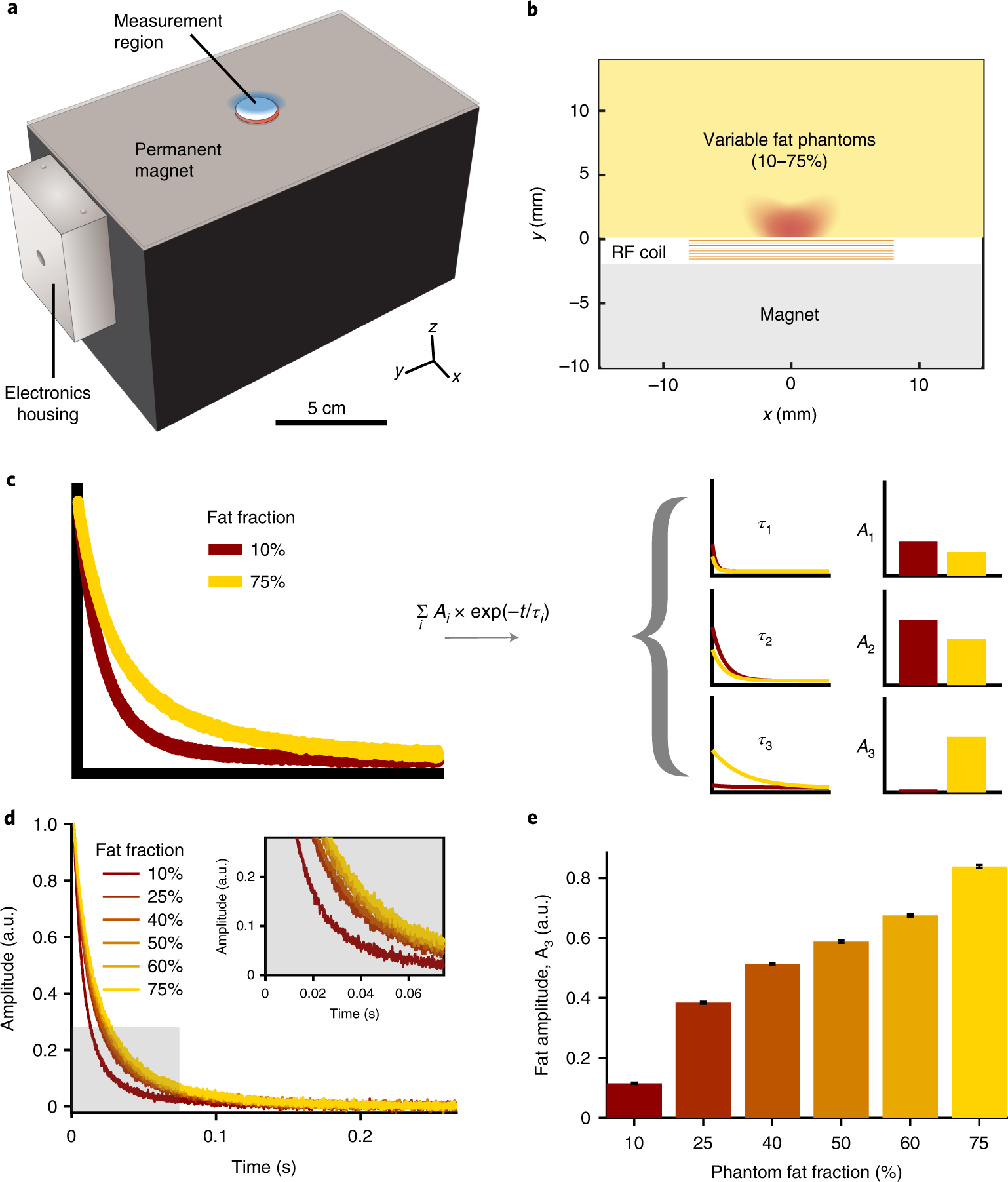 A portable single-sided magnetic-resonance sensor for the grading of liver  steatosis and fibrosis | Nature Biomedical Engineering