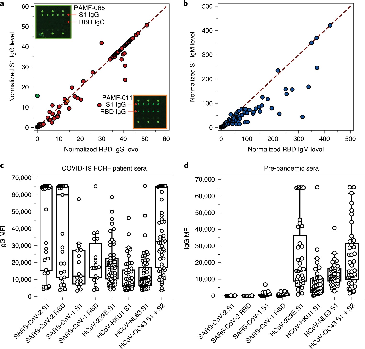 Fig. 3: Multiplexed antibody assay against various antigens of novel and previous coronaviruses.