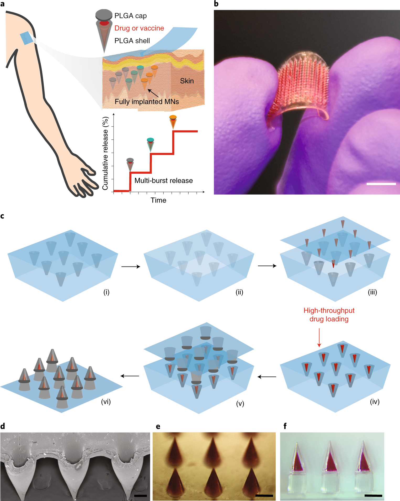 Transdermal microneedles for the programmable burst release of multiple  vaccine payloads | Nature Biomedical Engineering