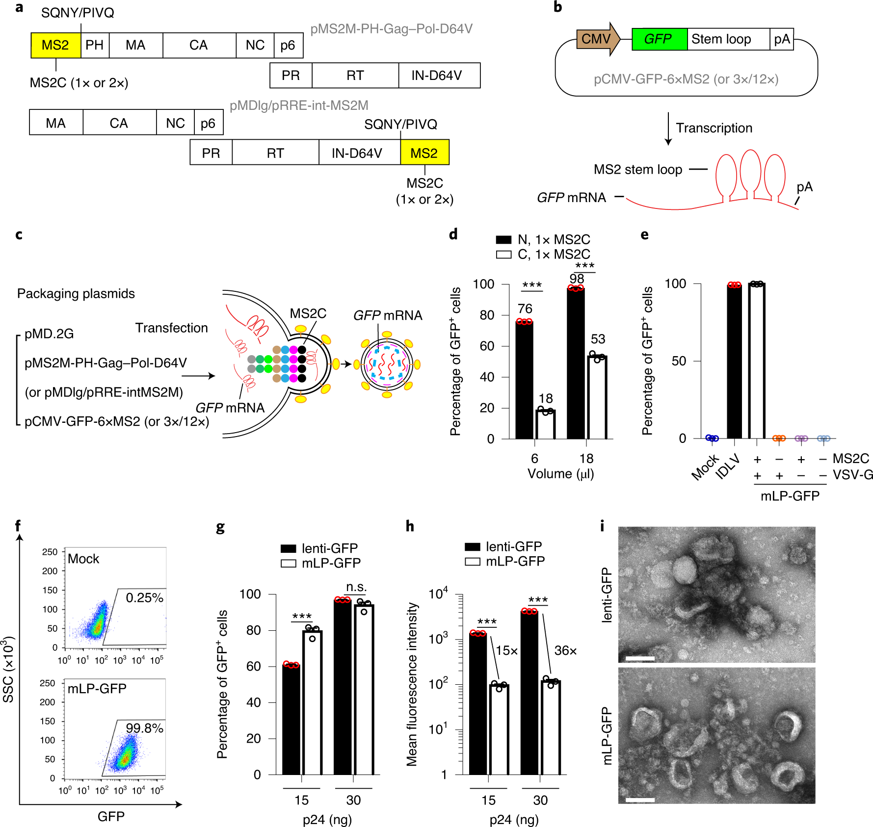 Lentiviral delivery of co-packaged Cas9 mRNA and a Vegfa-targeting guide  RNA prevents wet age-related macular degeneration in mice | Nature  Biomedical Engineering