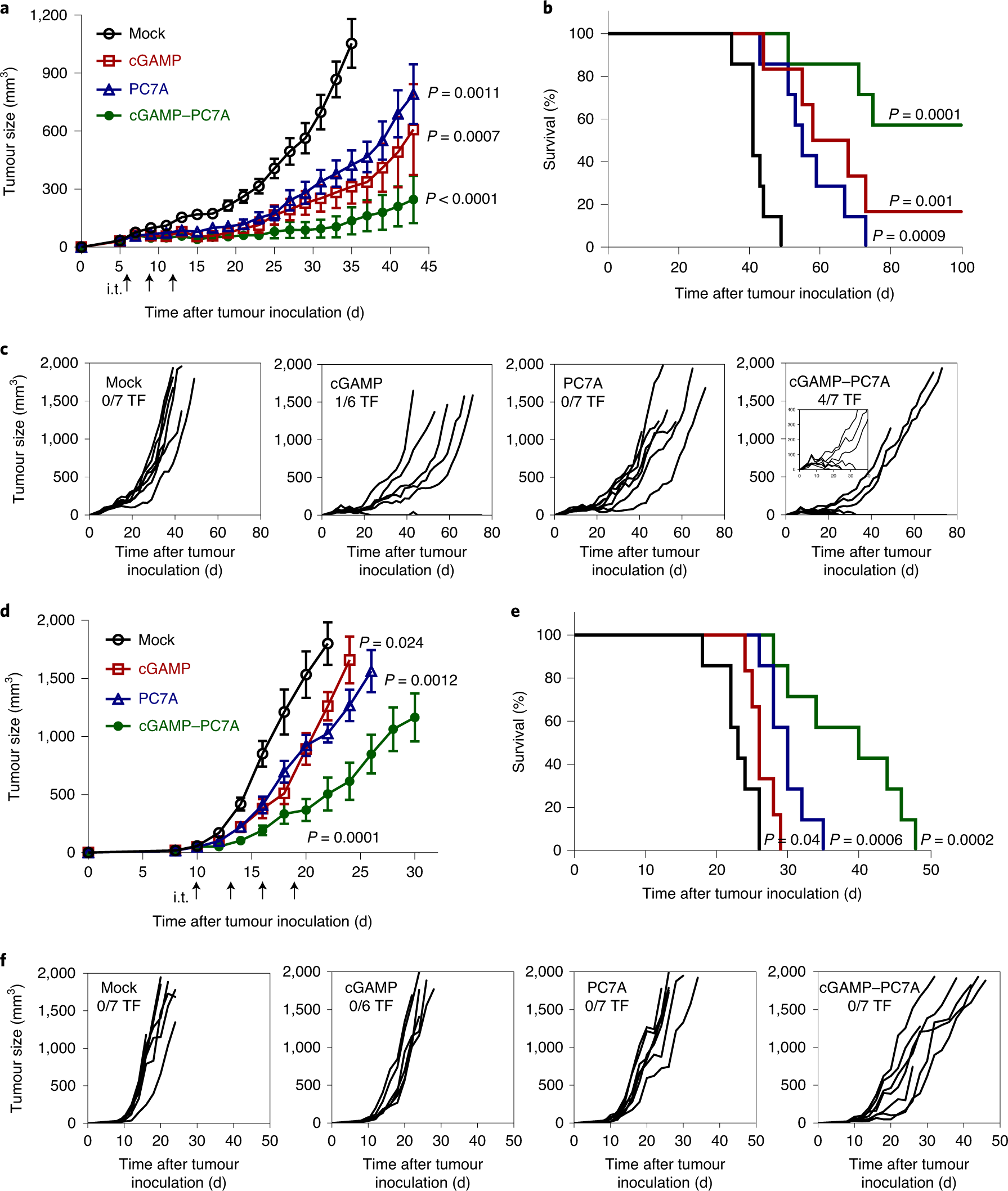 Fig. 5: PC7A and cGAMP show synergistic antitumour efficacy in tumour-bearing mice.