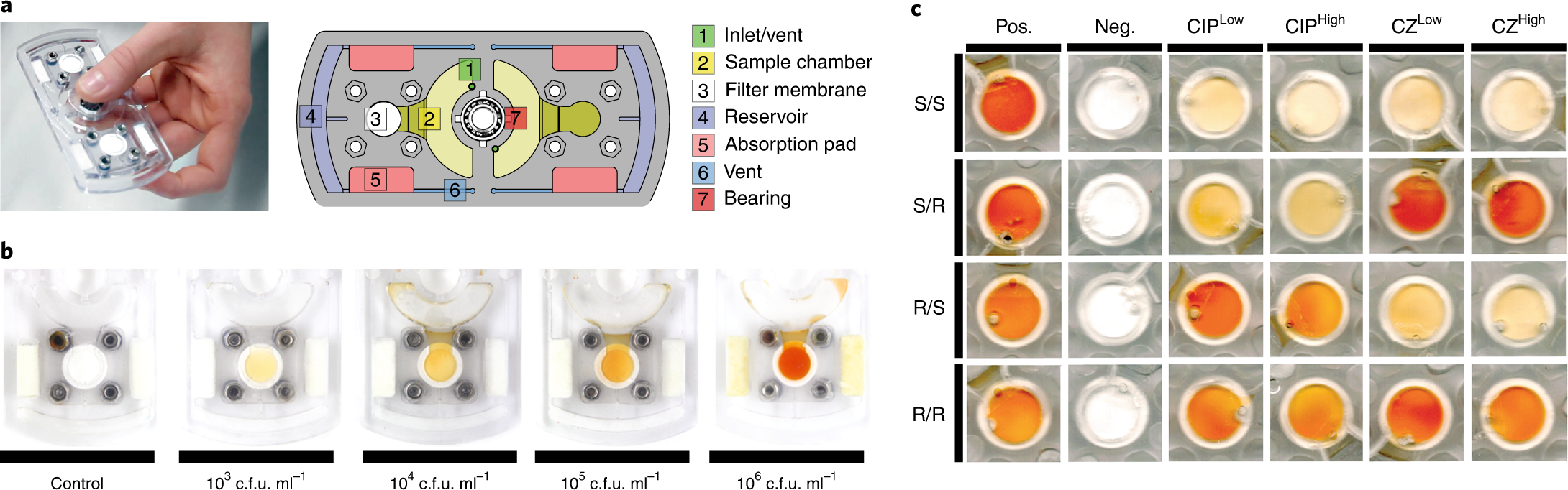 Detection Of Bacterial Infection Via A Fidget Spinner Nature Biomedical Engineering