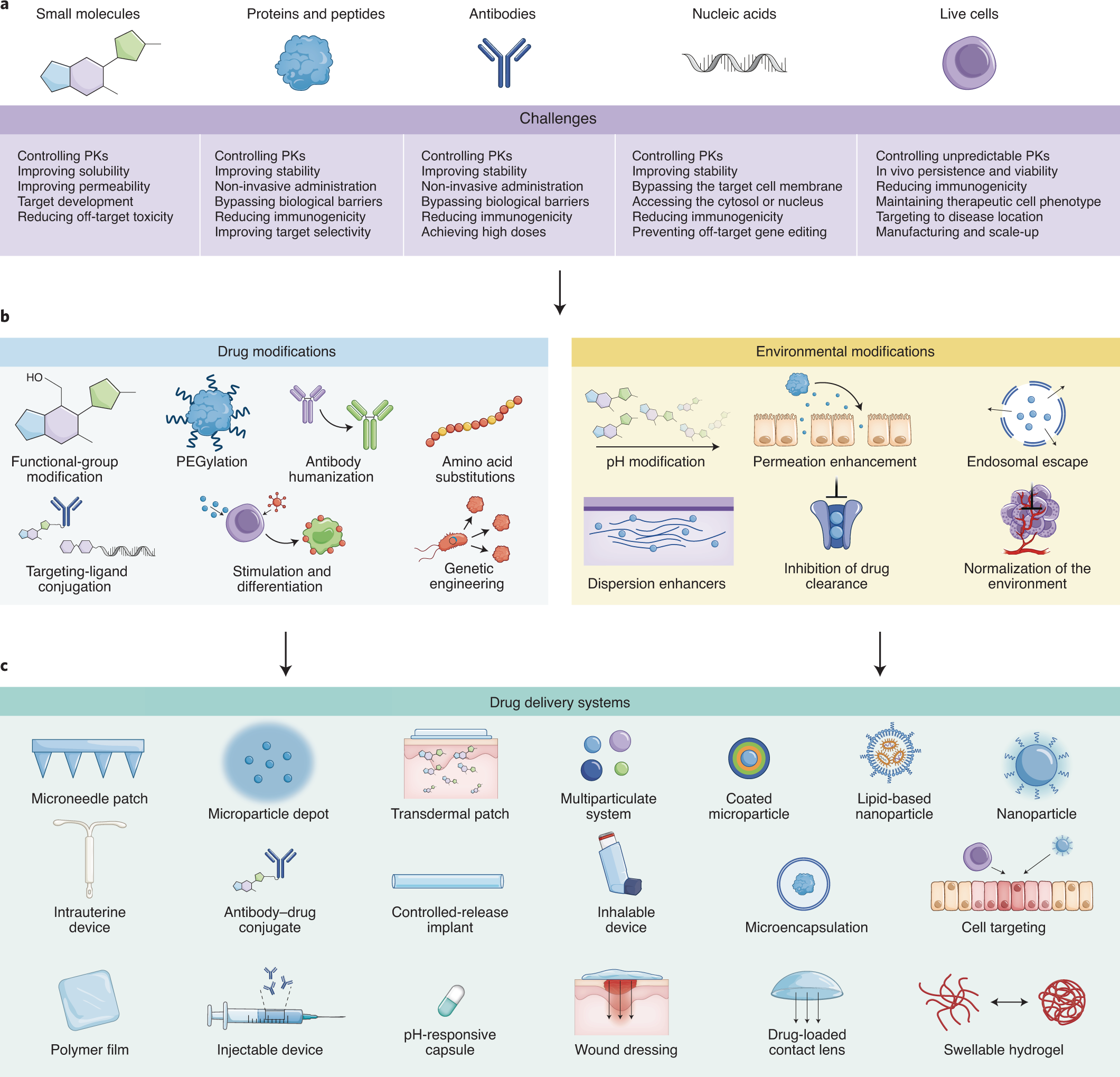 The evolution of commercial drug delivery technologies | Nature Biomedical  Engineering