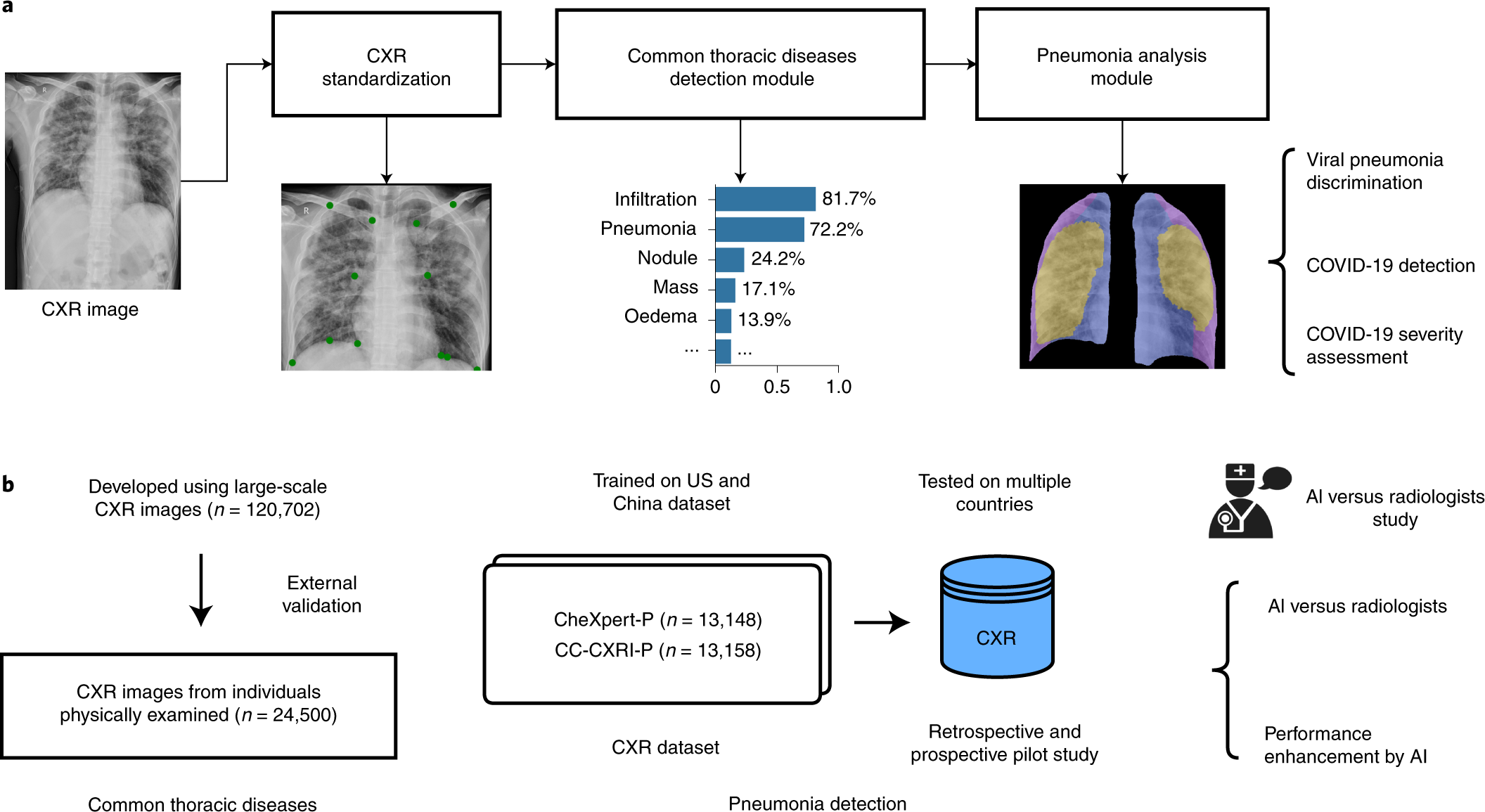 A deep-learning pipeline for the diagnosis and discrimination of viral,  non-viral and COVID-19 pneumonia from chest X-ray images