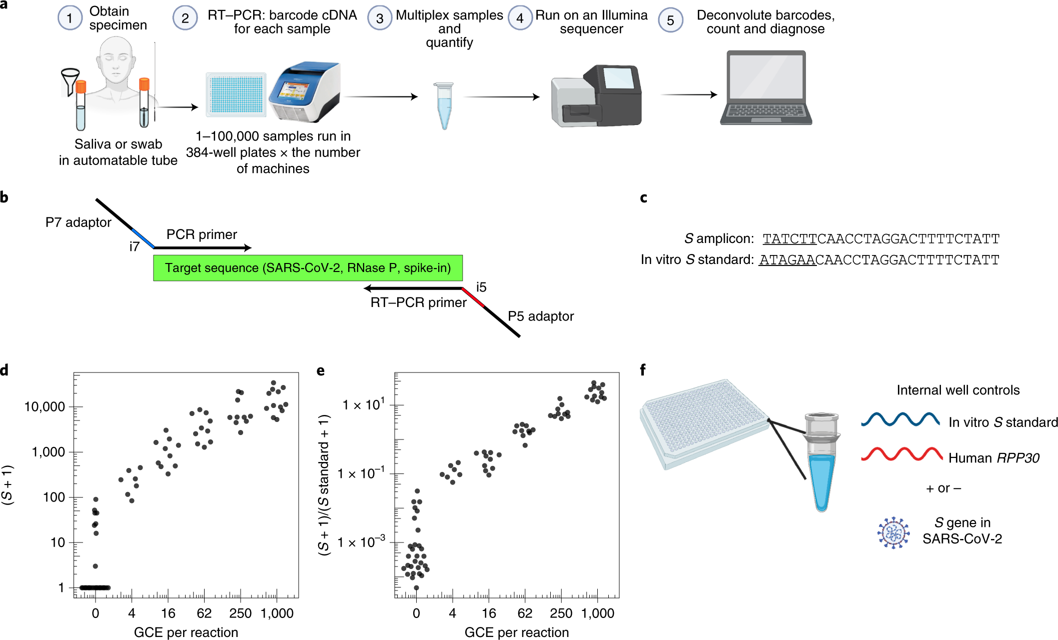 Massively Scaled Up Testing For Sars Cov 2 Rna Via Next Generation Sequencing Of Pooled And Barcoded Nasal And Saliva Samples Nature Biomedical Engineering