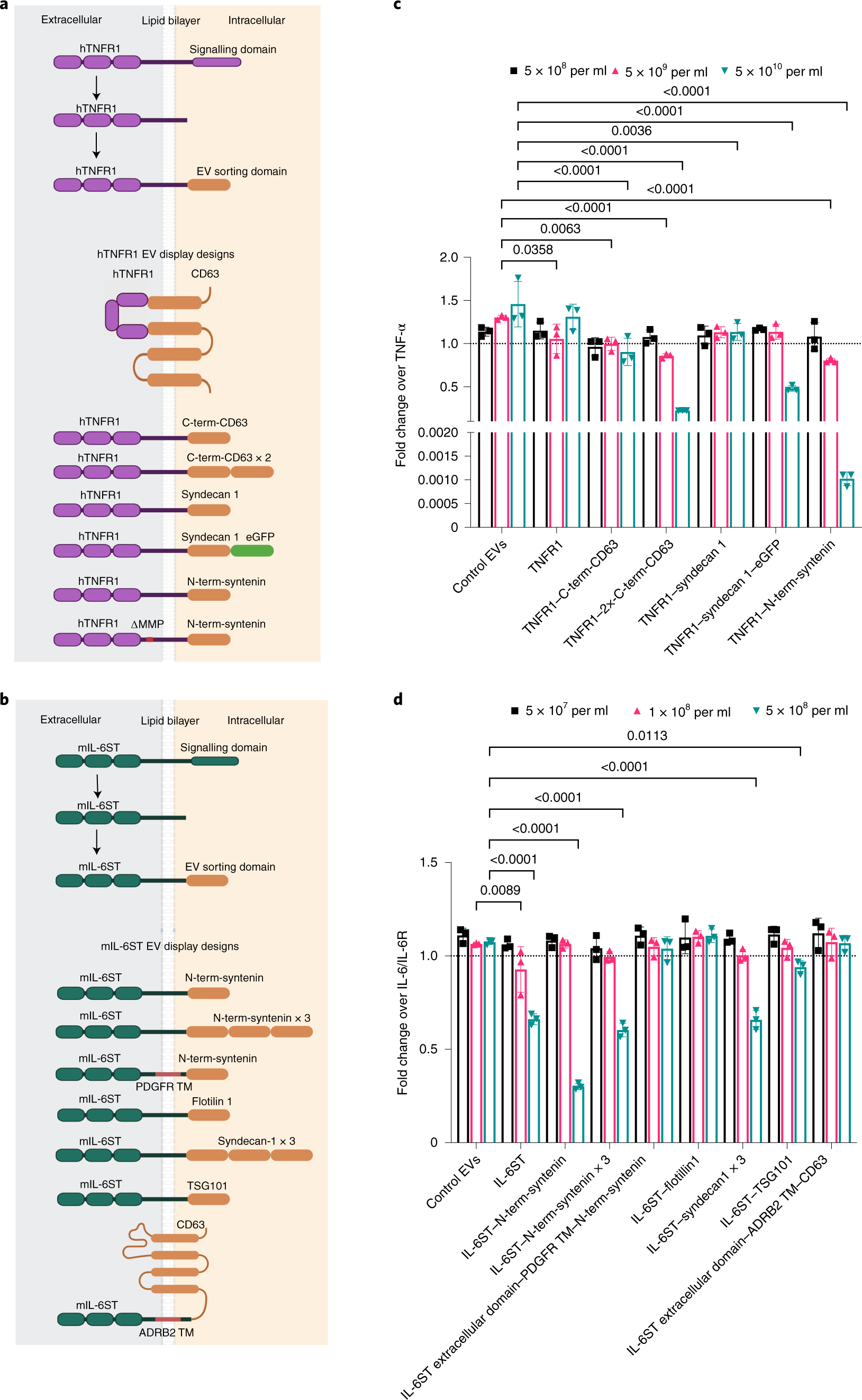 Amelioration Of Systemic Inflammation Via The Display Of Two Different Decoy Protein Receptors On Extracellular Vesicles Nature Biomedical Engineering
