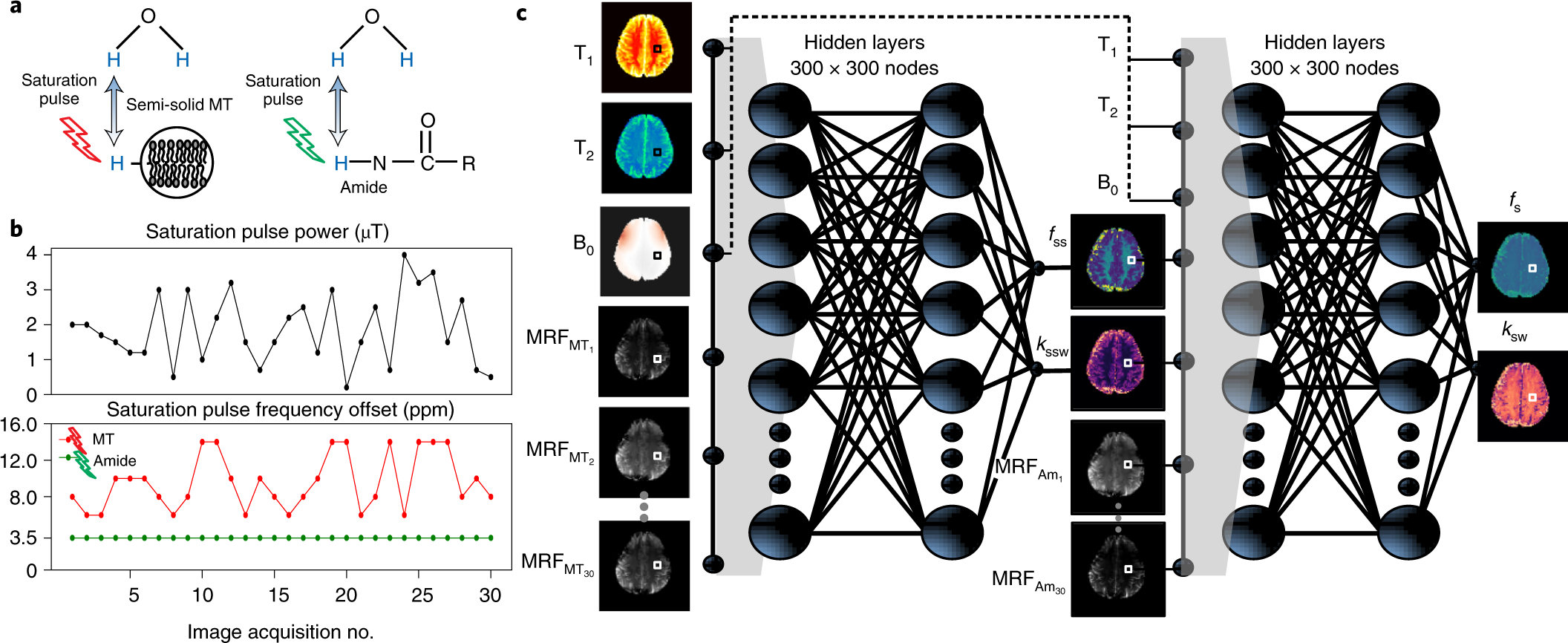Quantitative imaging of apoptosis following oncolytic virotherapy by  magnetic resonance fingerprinting aided by deep learning | Nature  Biomedical Engineering