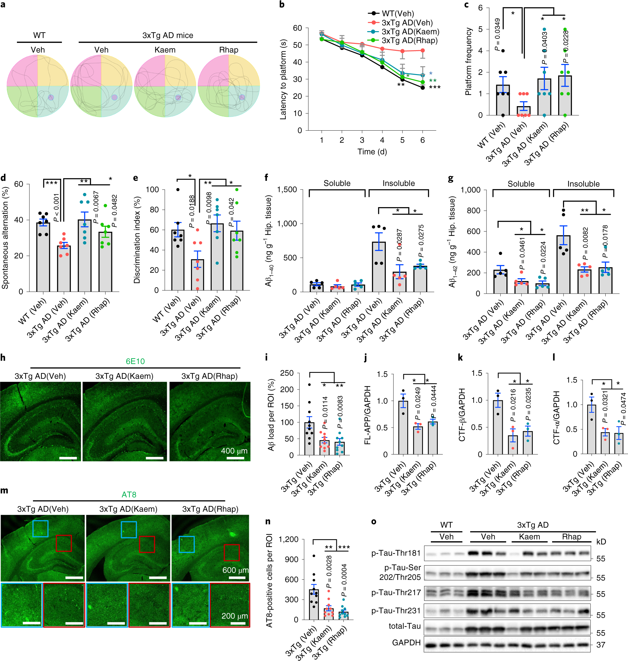 Fig. 6: Mitophagy stimulation forestalls memory loss and ameliorates both Aβ and Tau pathologies in 3xTg AD mice.