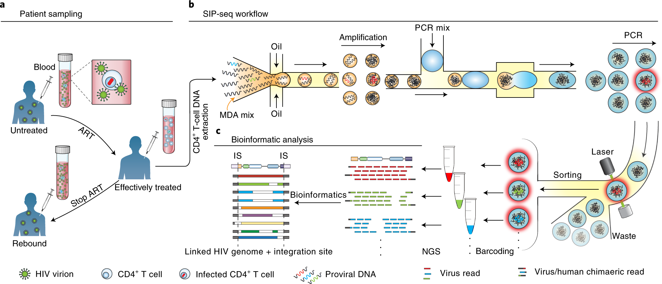 Droplet-microfluidics-assisted sequencing of HIV proviruses and their  integration sites in cells from people on antiretroviral therapy | Nature  Biomedical Engineering