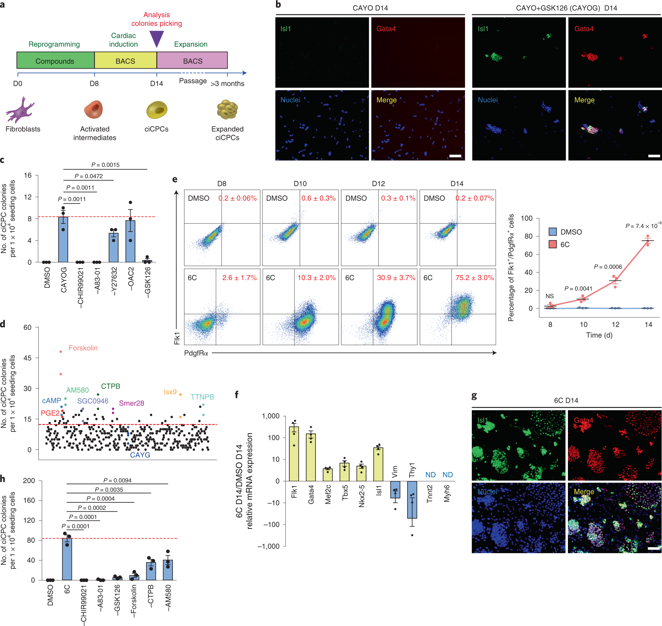 Innovative approach brings cell-reprogramming therapy for heart failure  closer to reality