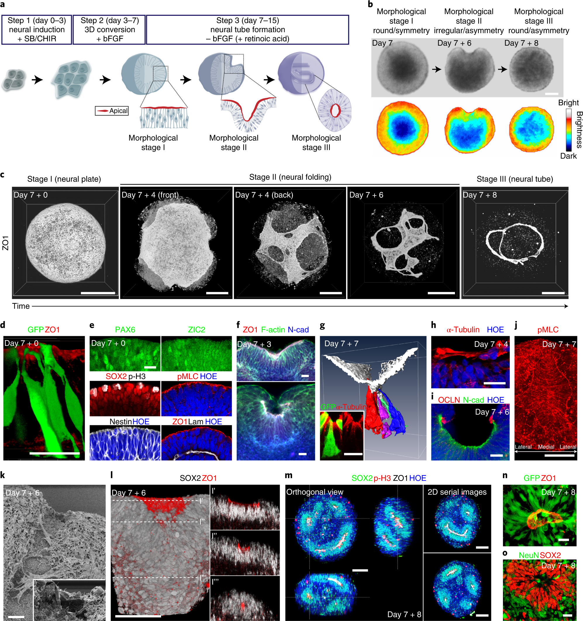 https://media.springernature.com/full/springer-static/image/art%3A10.1038%2Fs41551-022-00868-4/MediaObjects/41551_2022_868_Fig1_HTML.png