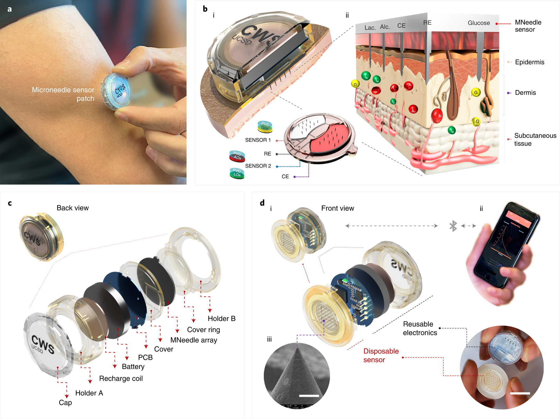 consumption neck efficiency An integrated wearable microneedle array for the continuous monitoring of  multiple biomarkers in interstitial fluid | Nature Biomedical Engineering