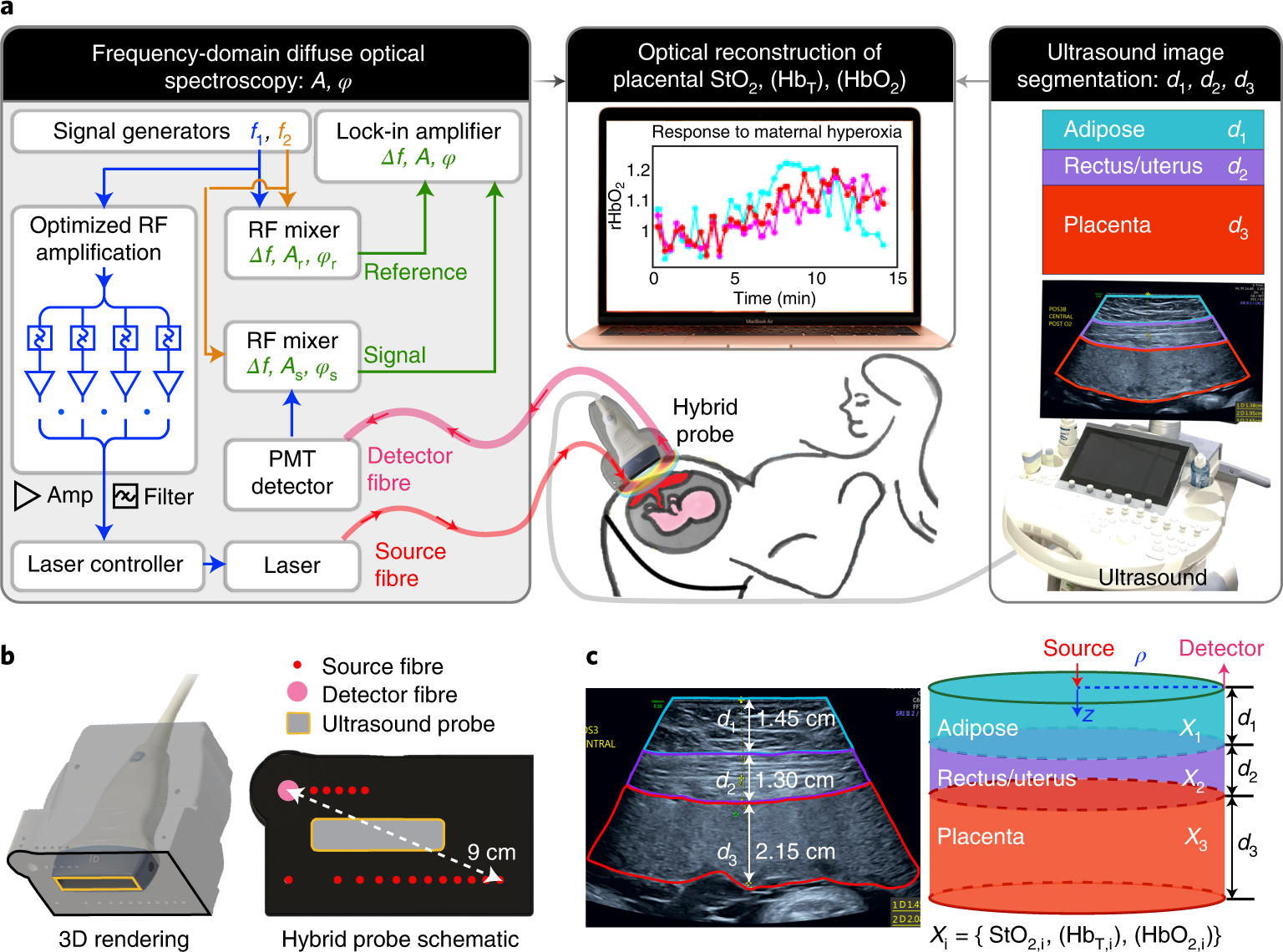 Non-invasive monitoring of blood oxygenation in human placentas via  concurrent diffuse optical spectroscopy and ultrasound imaging | Nature  Biomedical Engineering