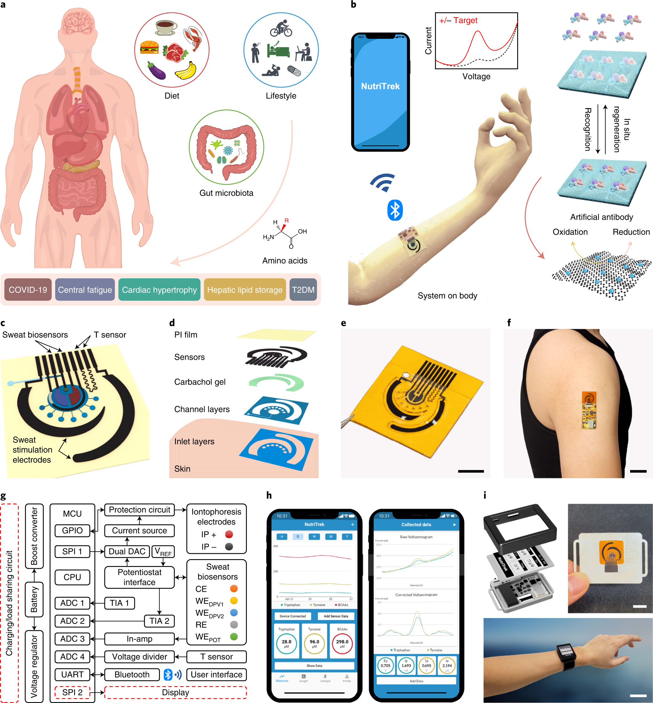 A wearable electrochemical biosensor for the monitoring of metabolites and  nutrients